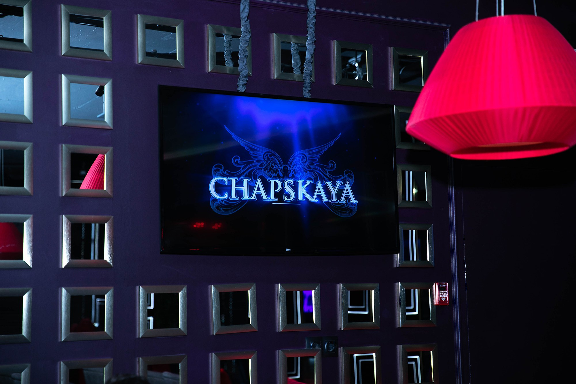 Репотражная съёмка. Фотограф-анималист в Омске Екатерина Маричева