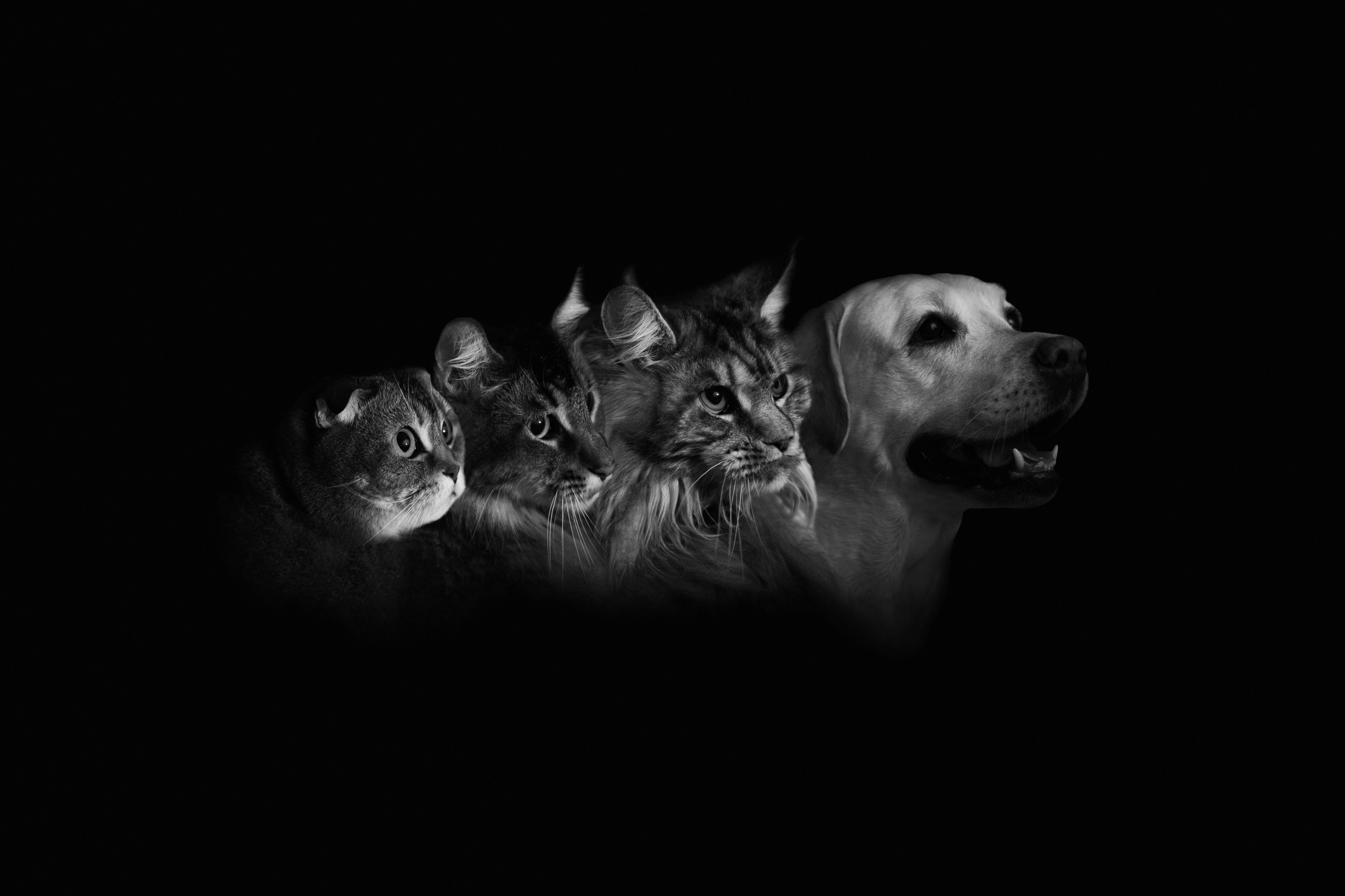 Портрет поколений. Детский и семейный фотограф в Москве и МО