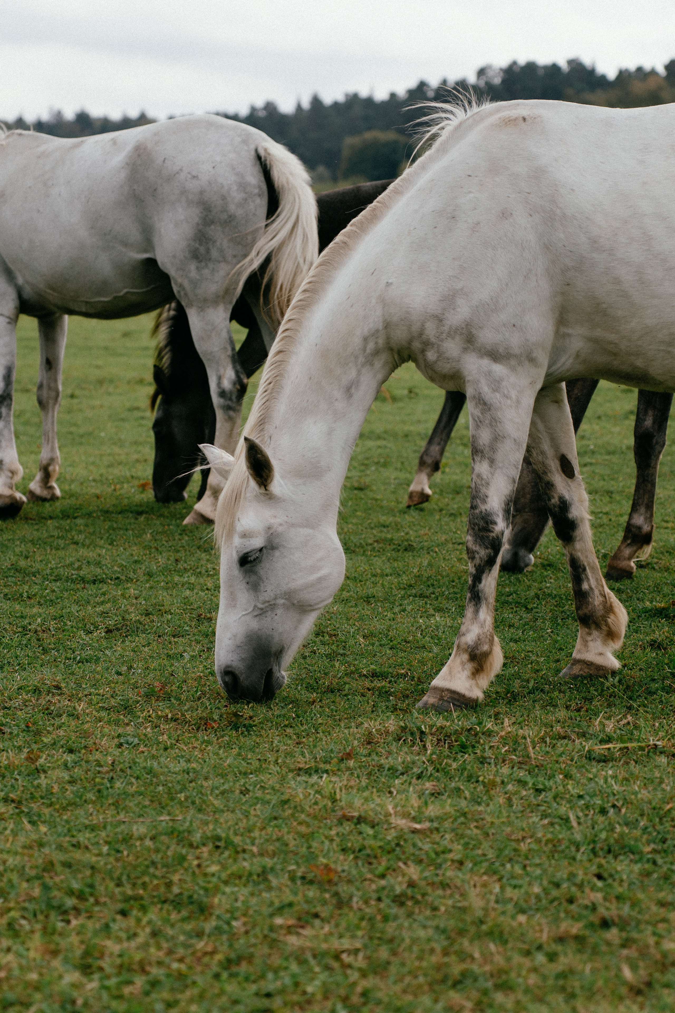 Liza. Фотограф в Москве Маша Игитова