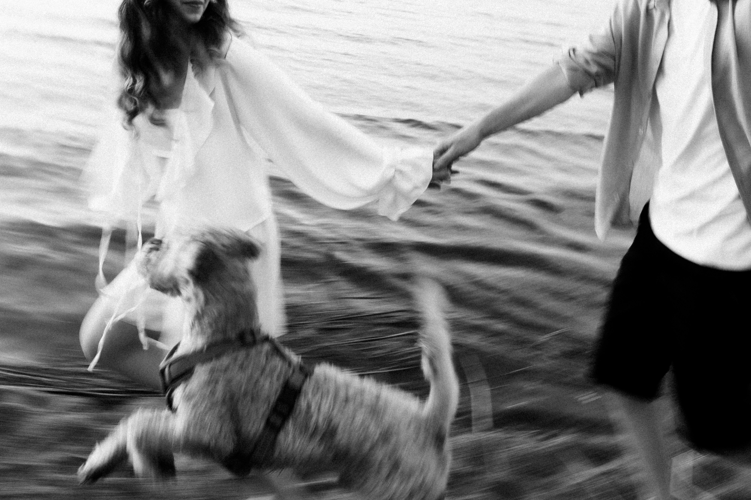 Аня, Влад и Джек. Фотограф в Санкт-Петербурге