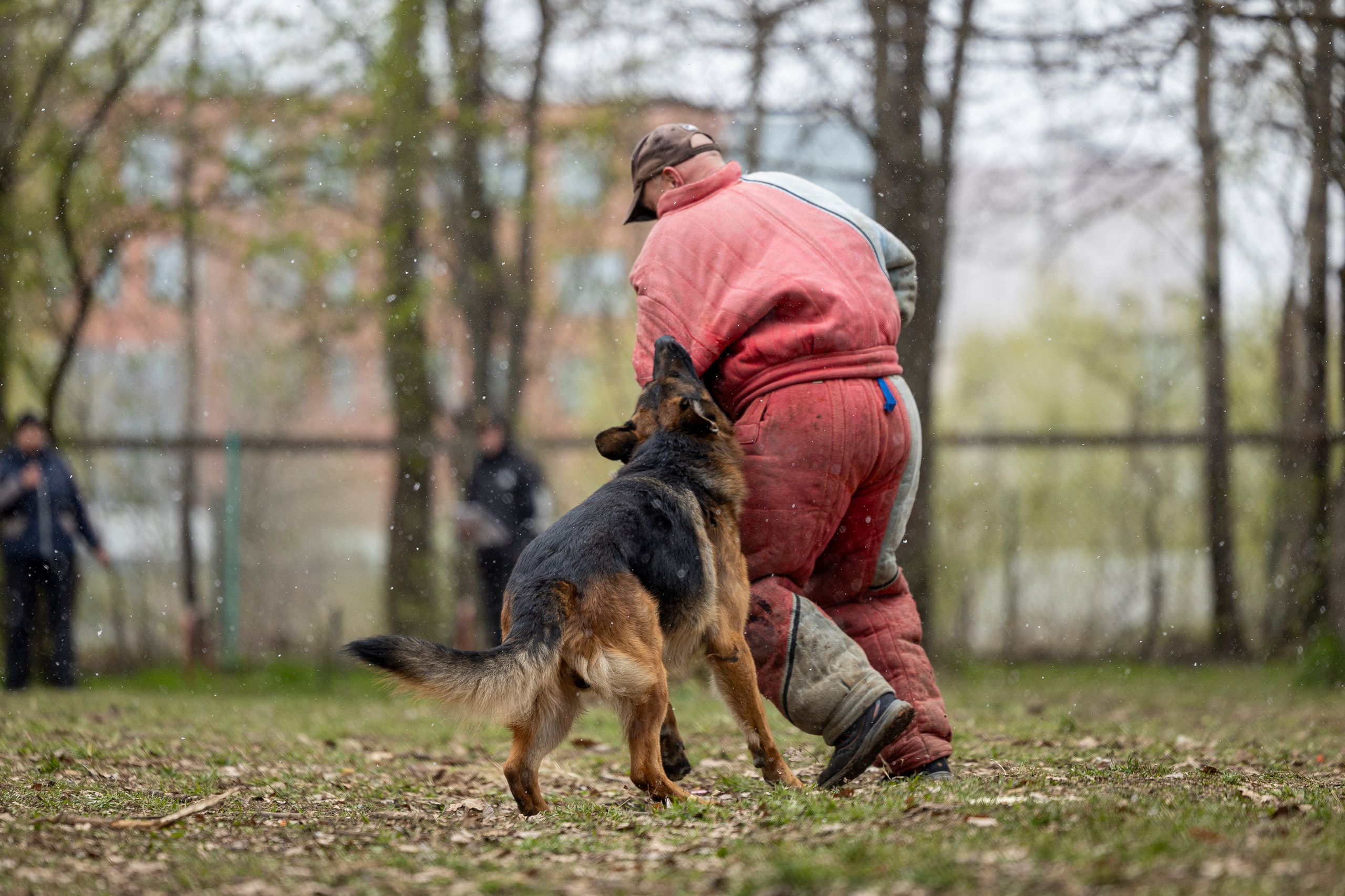 Квалификационные состязания по мондьорингу г. Вологда 11.05.24. Фотограф-анималист Анна Маринич