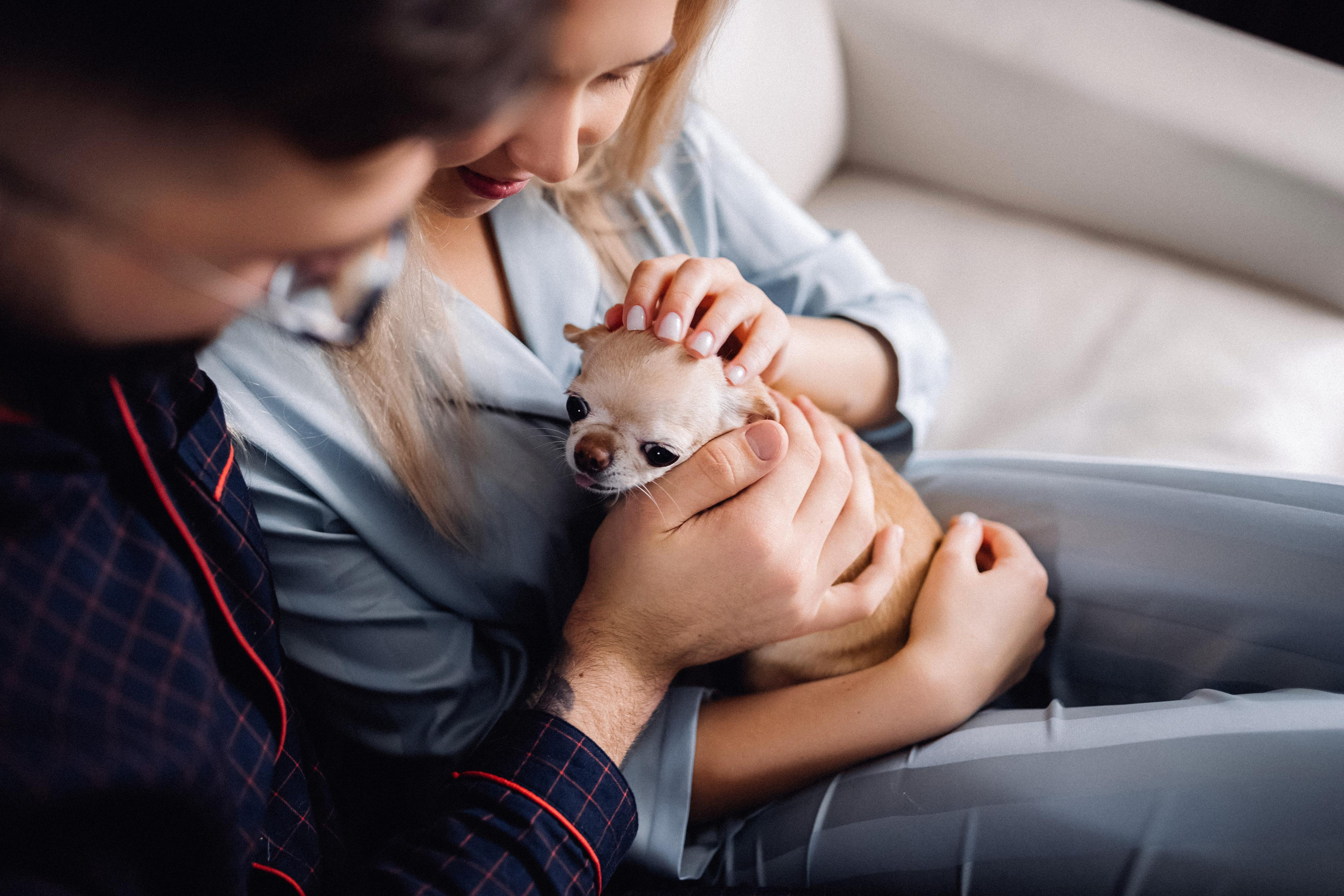 Свадьба любящих людей в Красноярске. Свадебный фотограф-видеограф в Красноярске Евгений Константинопольский