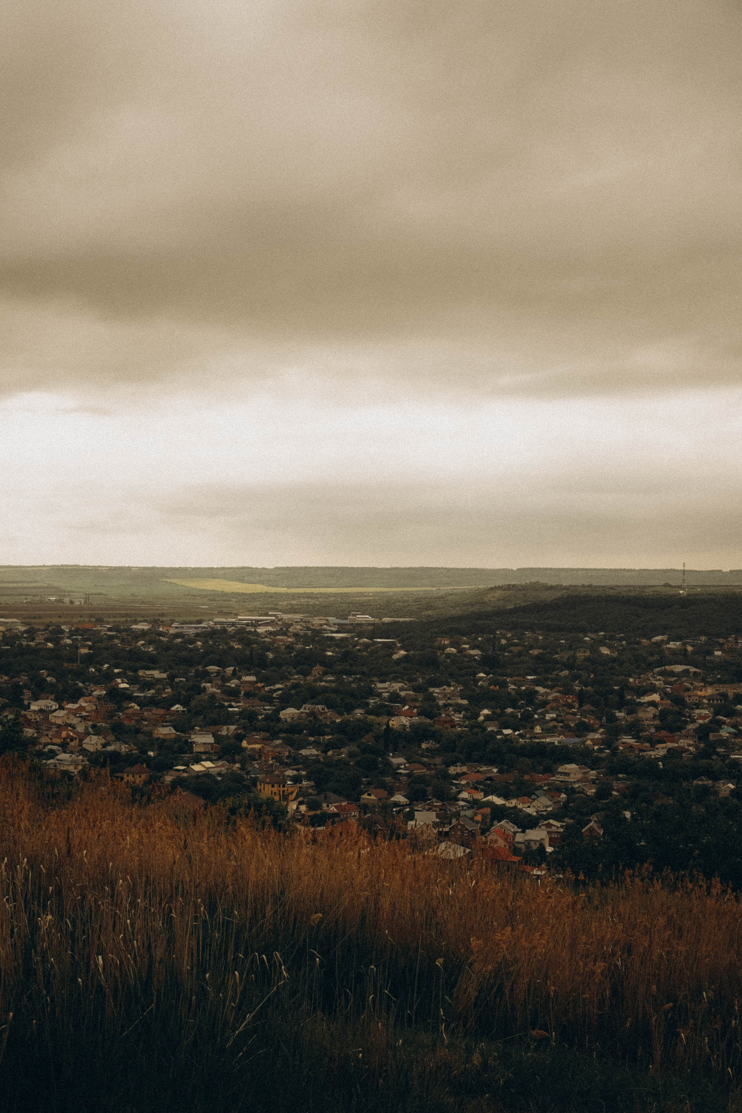 Кавказ. Профессиональный фотограф, Санкт-Петербург — Виктория Богомолова