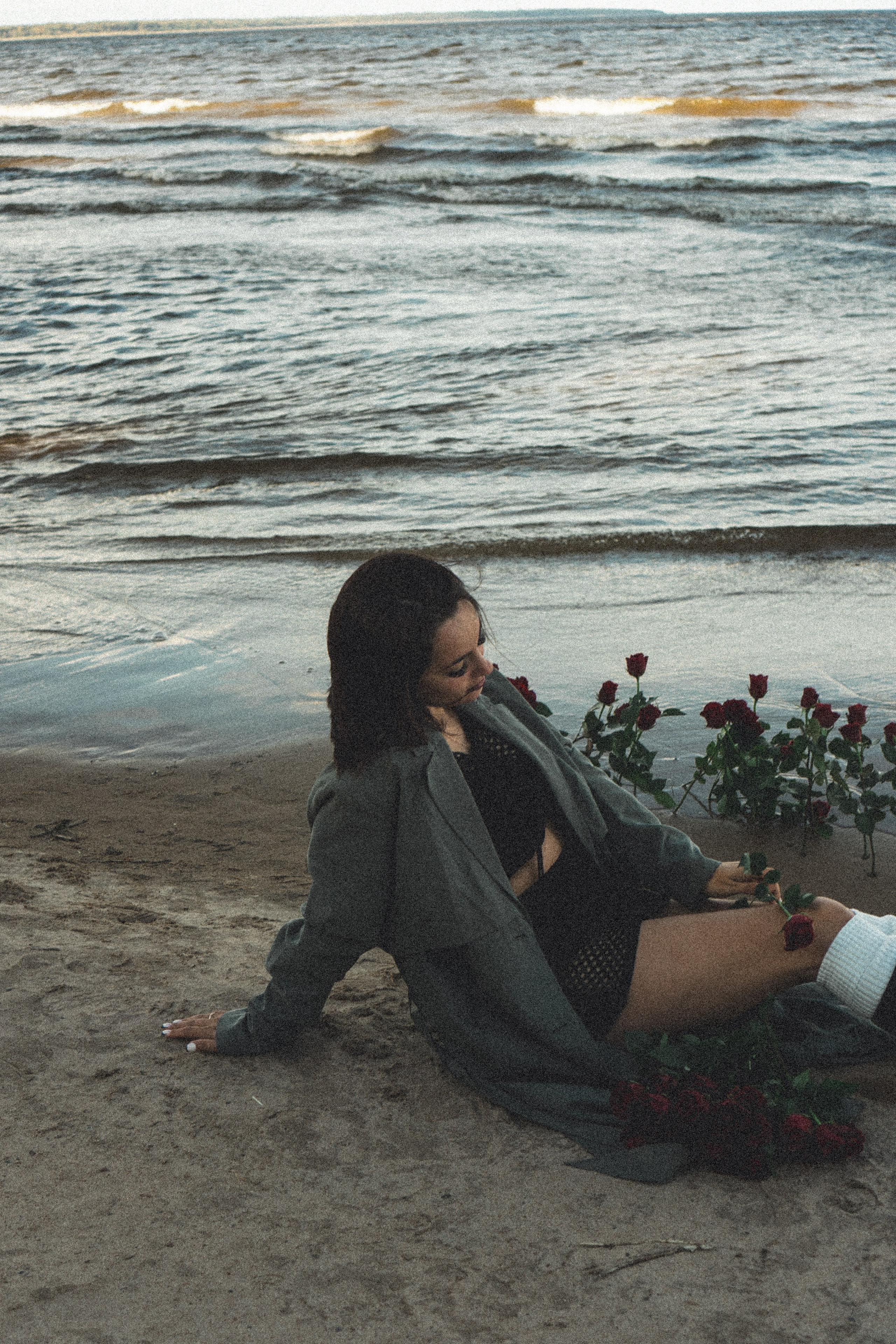 Розы. Профессиональный фотограф, Санкт-Петербург — Виктория Богомолова