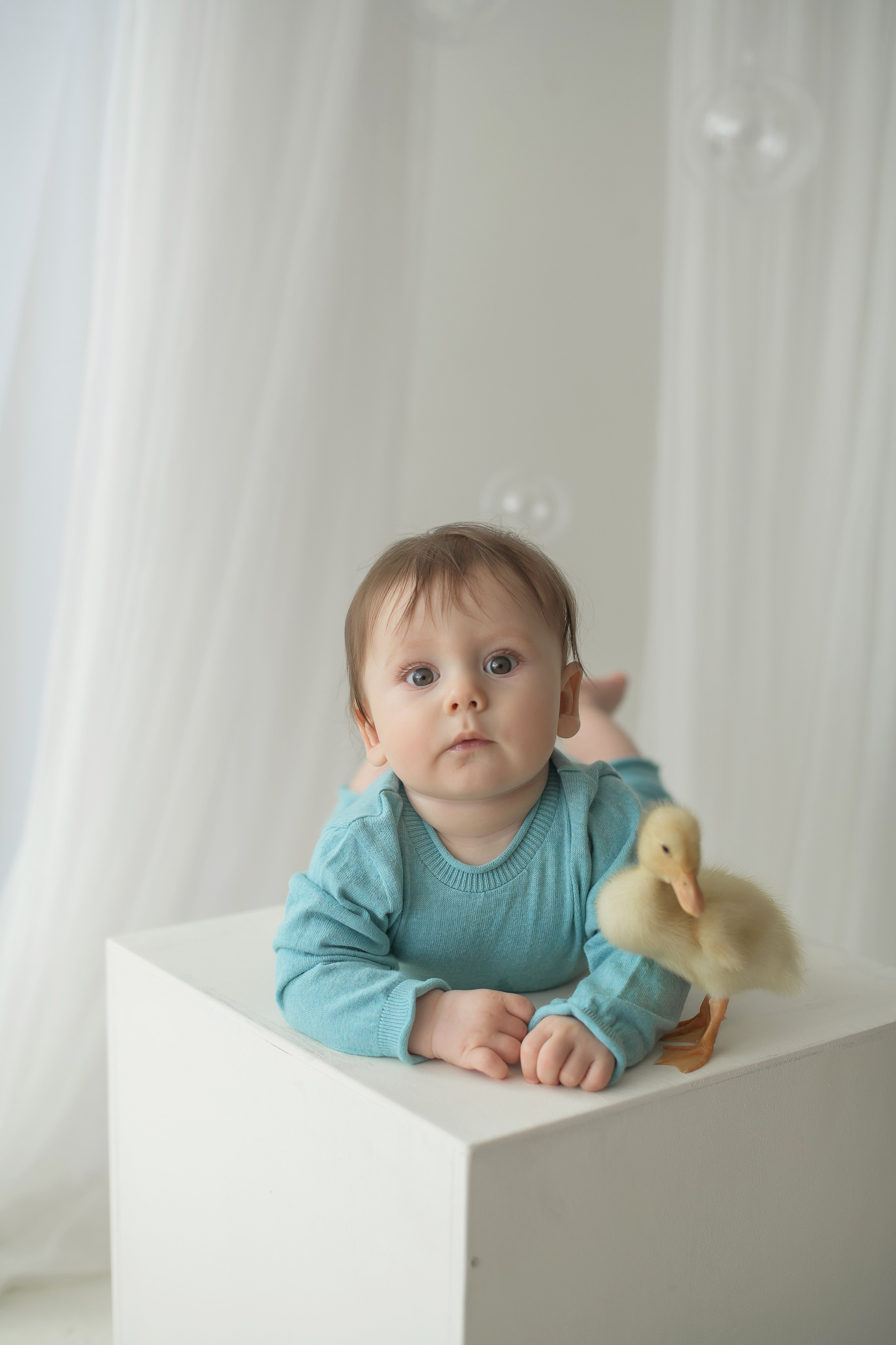 Утиные истории. Детский и семейный фотограф Елена Новоселова в г. Владивосток