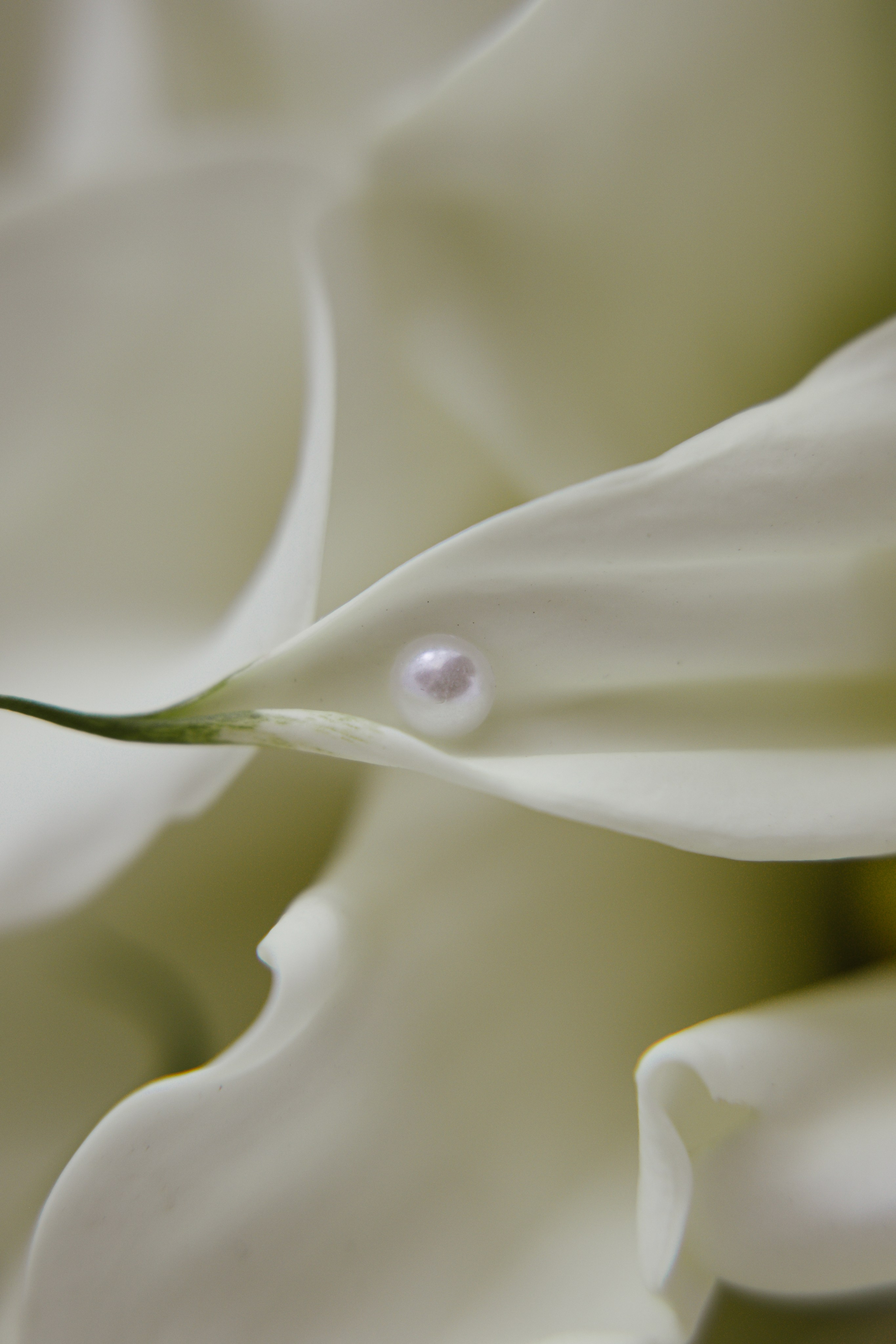 Арияна & Никита. Фотограф Амирян Марина