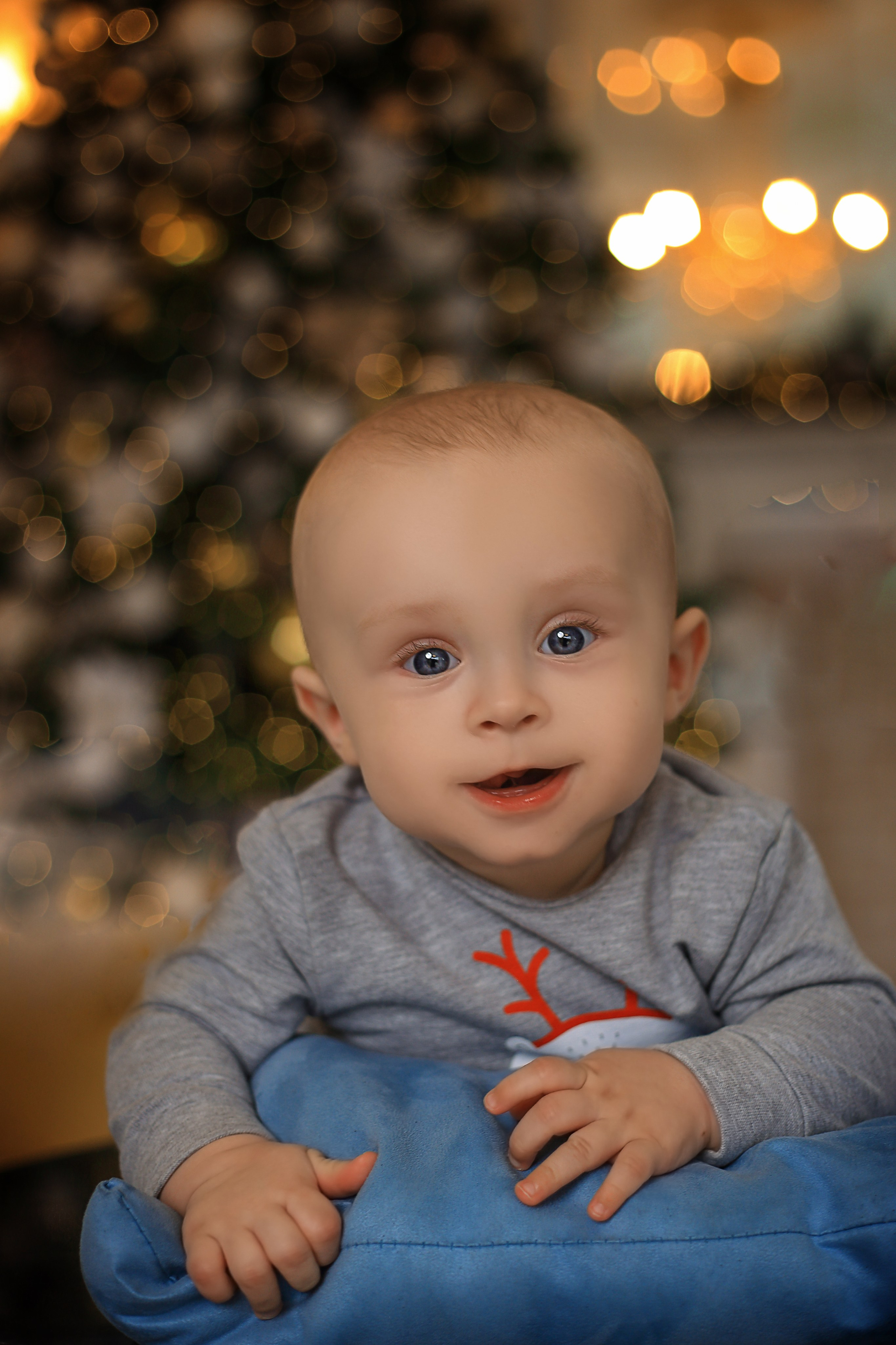 Новогодние фотосессии