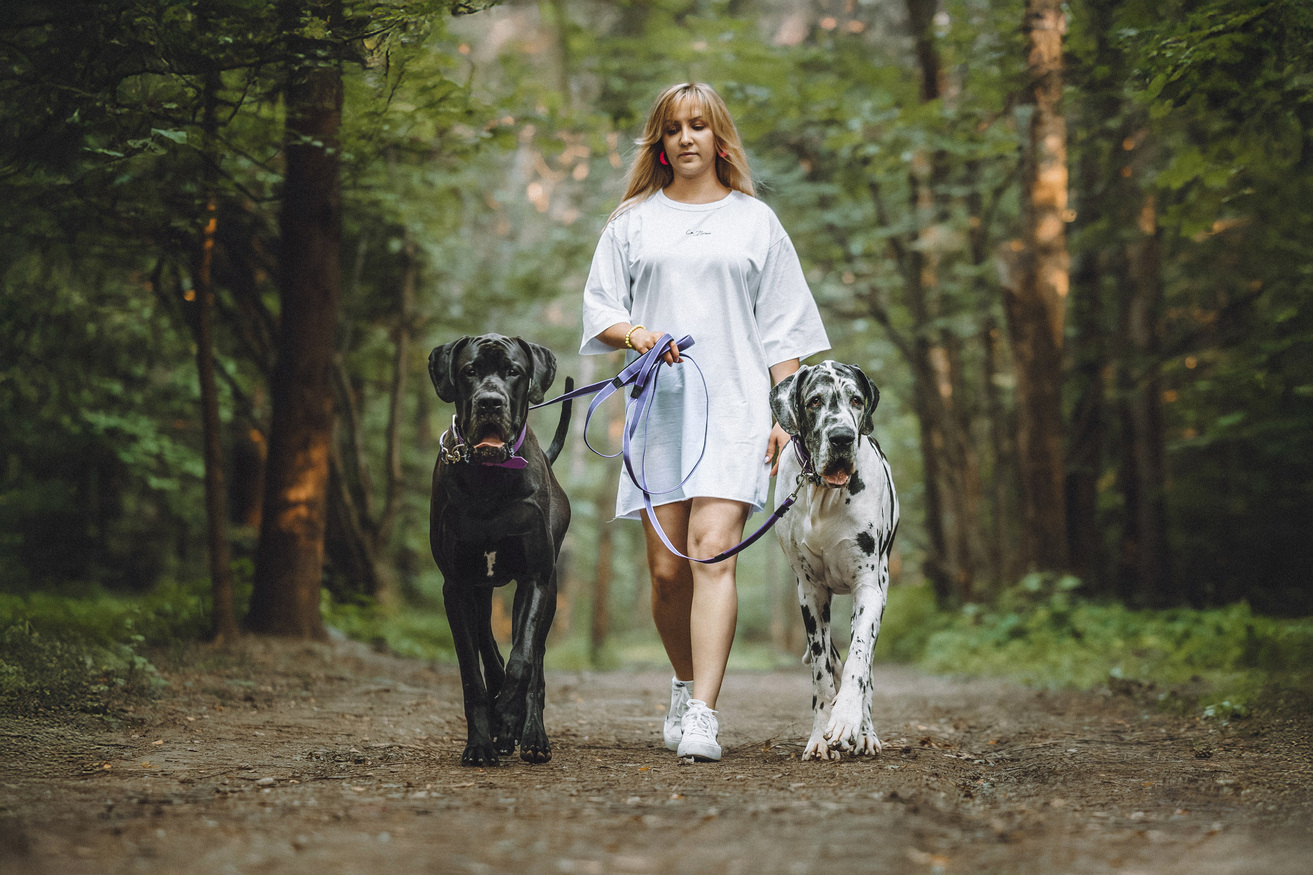 Катя, Андрей, Гектор, Ричи, Тортик и Трой