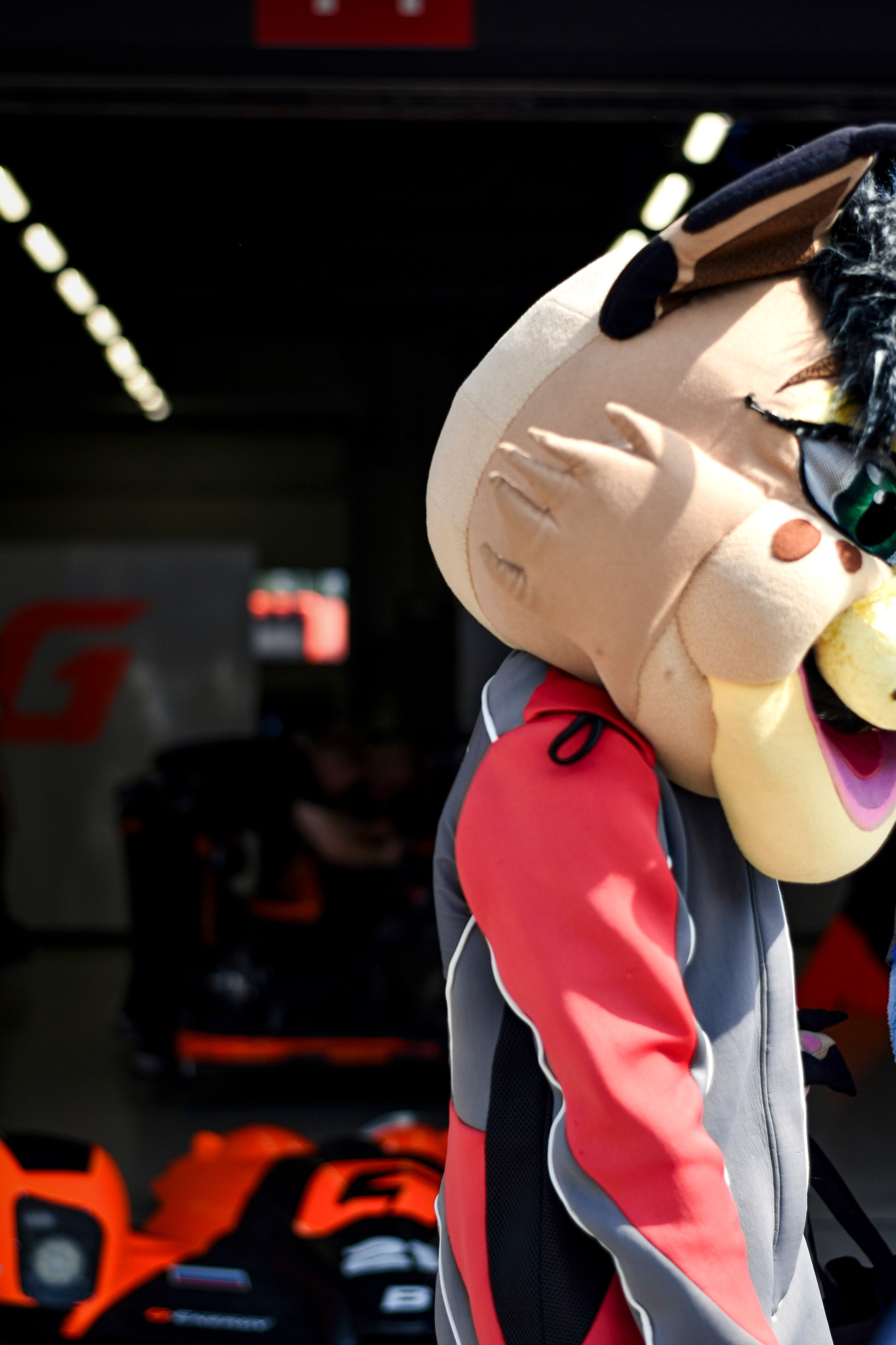 Сезон 2024 Russian Endurance Challenge. Голосов Дмитрий — автоспортивный фотограф