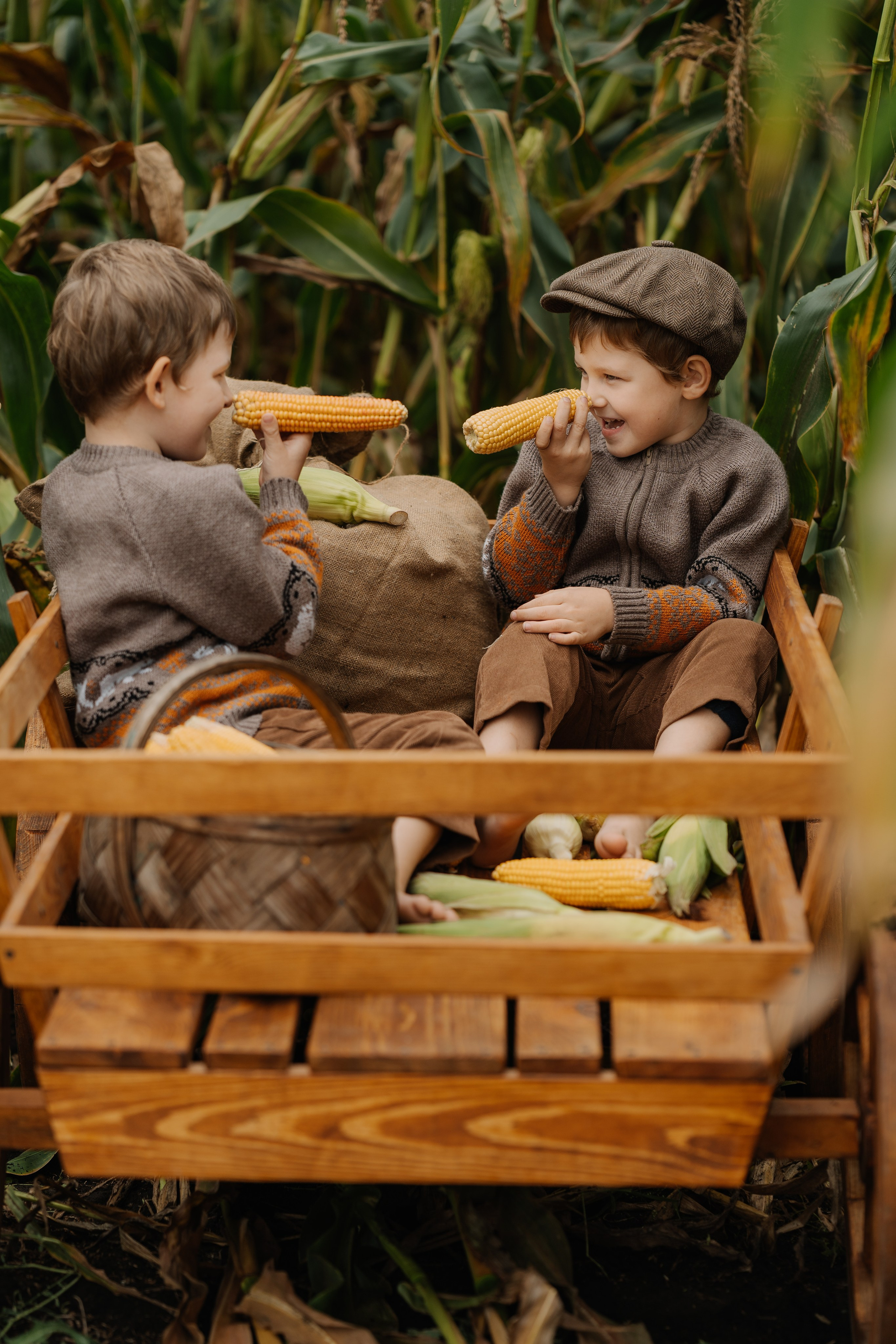Ваня и Илья в кукурузе. СВАДЕБНЫЙ ФОТОГРАФ КРАСНОЯРСК