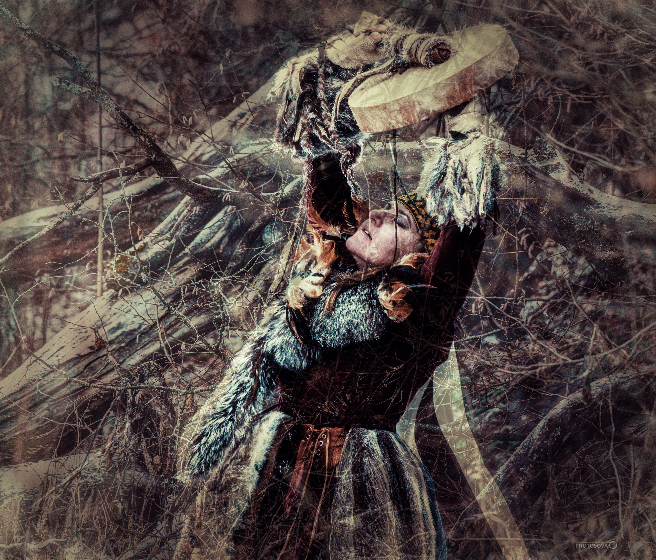 ФОТОПАМЯТЬ ВАШИХ ЭМОЦИЙ. Фотограф-анималист, семейный фотограф в Москве и Подмосковье. Фотосъёмка кинологических дисциплин