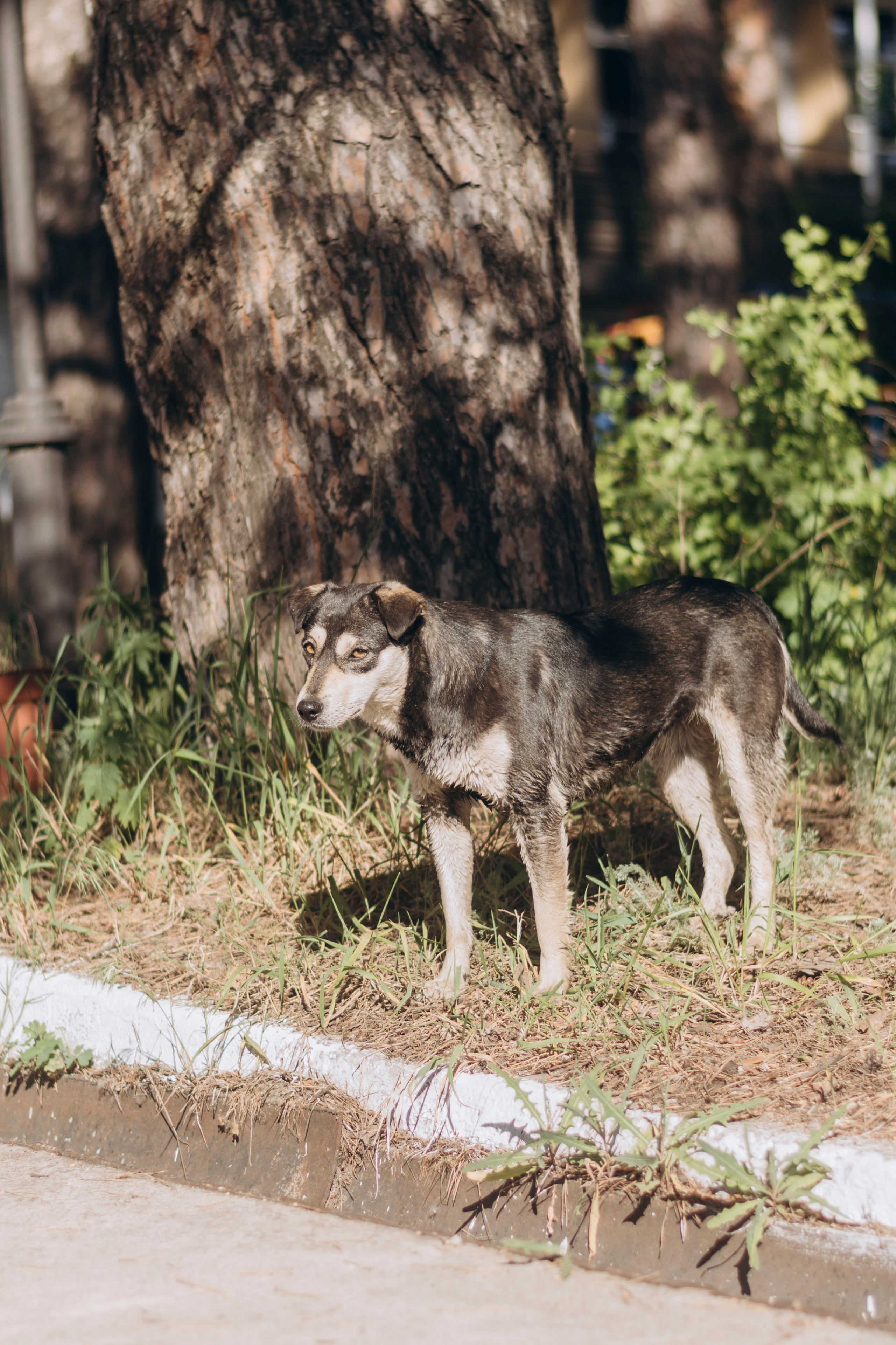 Последний звонок. Фотограф | Липецк