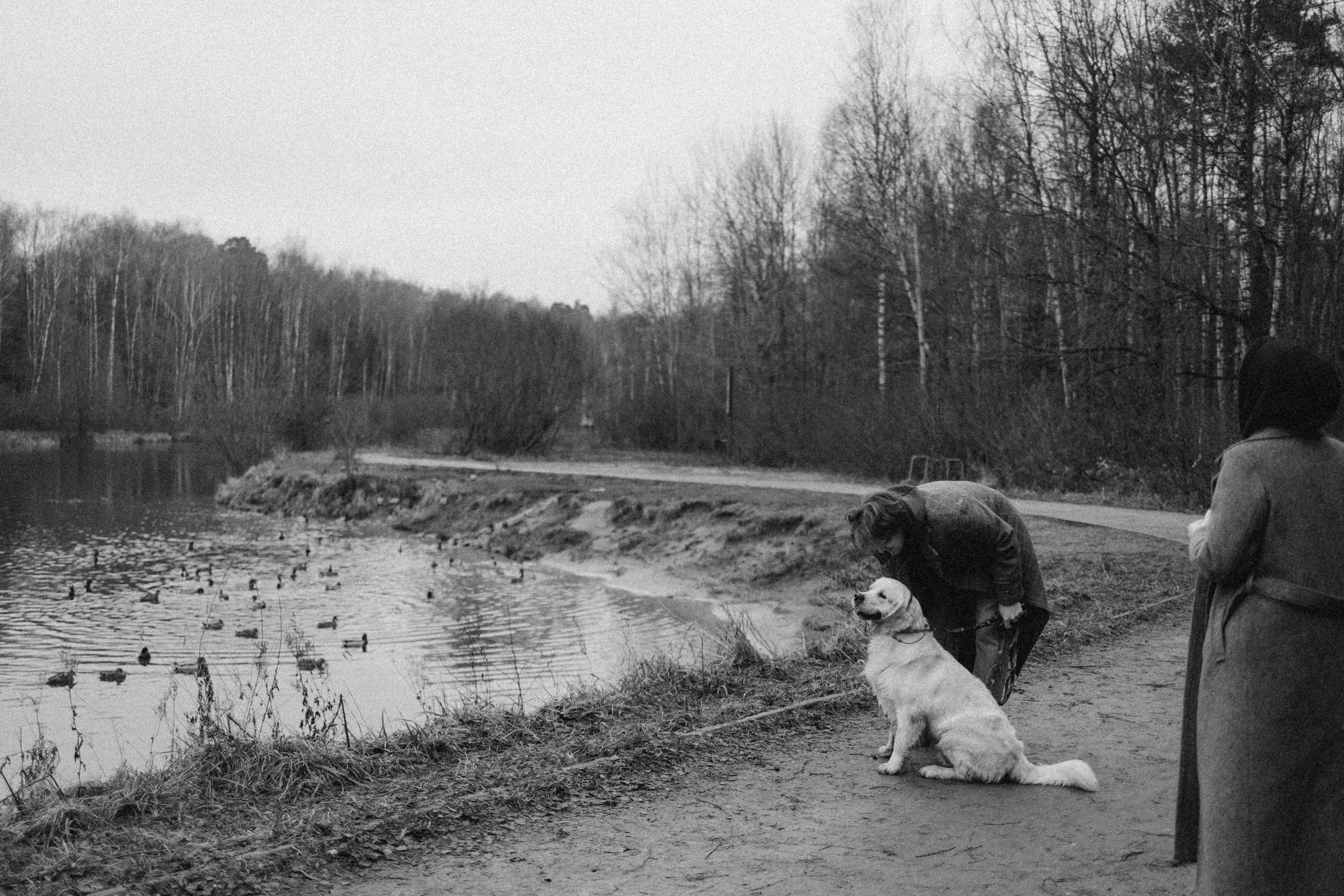 Лаки и его семья. Фотограф — Анималист | Санкт-Петербург