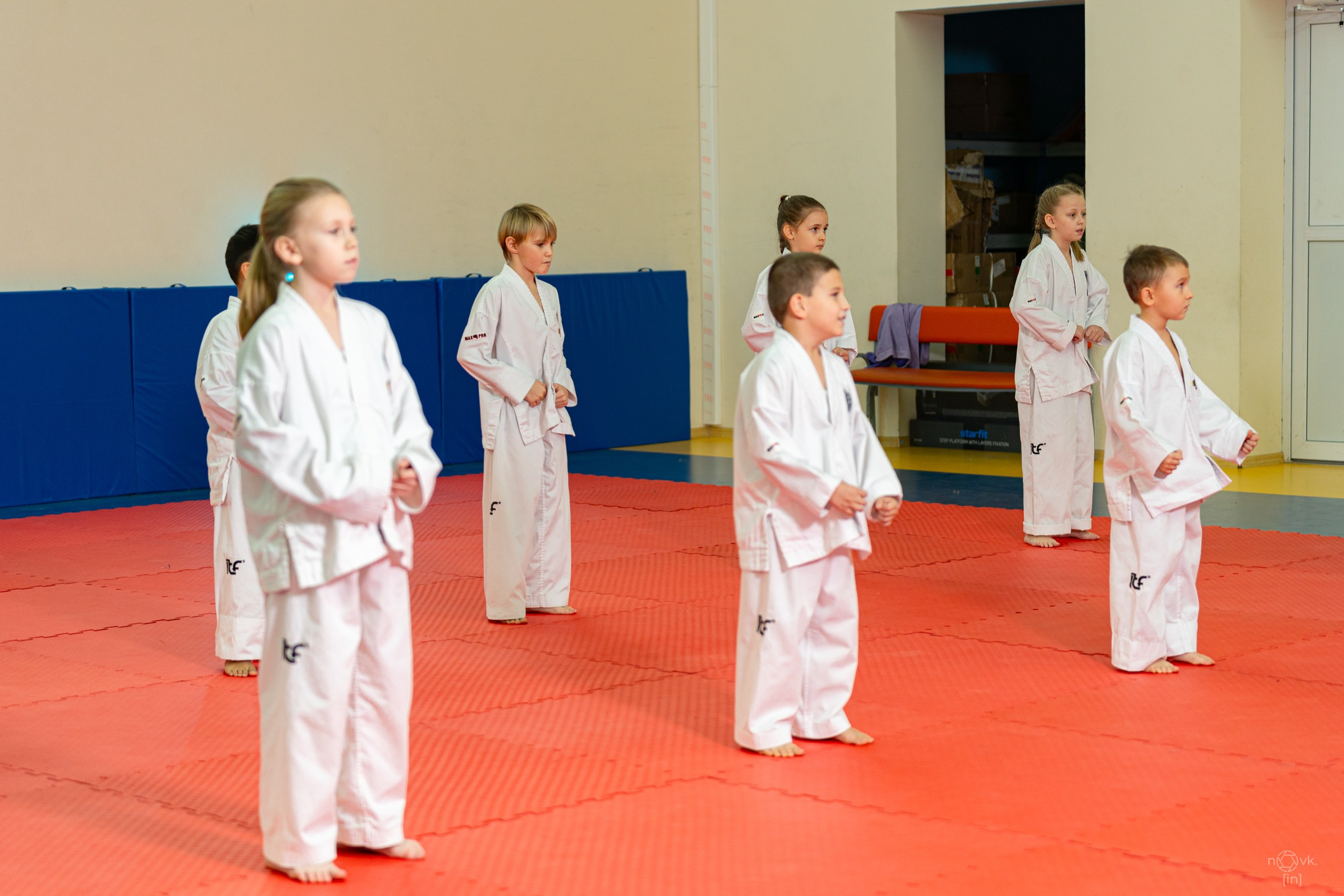 Аттестация Тхэкво. ФОТОГРАФ ИВАН НОВИКОВ | СТАВРОПОЛЬ