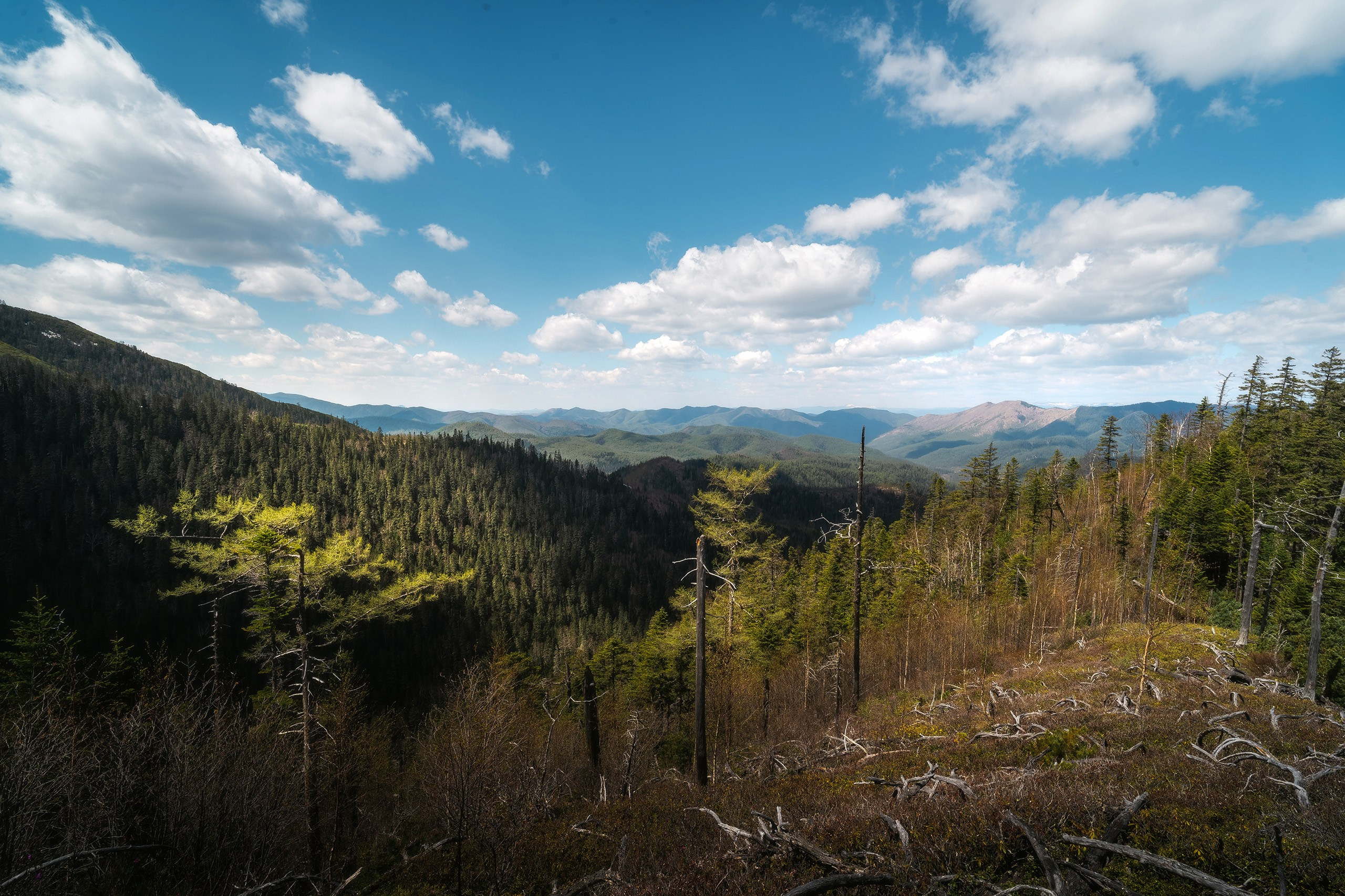 Классический пейзаж. Фотограф в Хабаровске Артём Паймуллин
