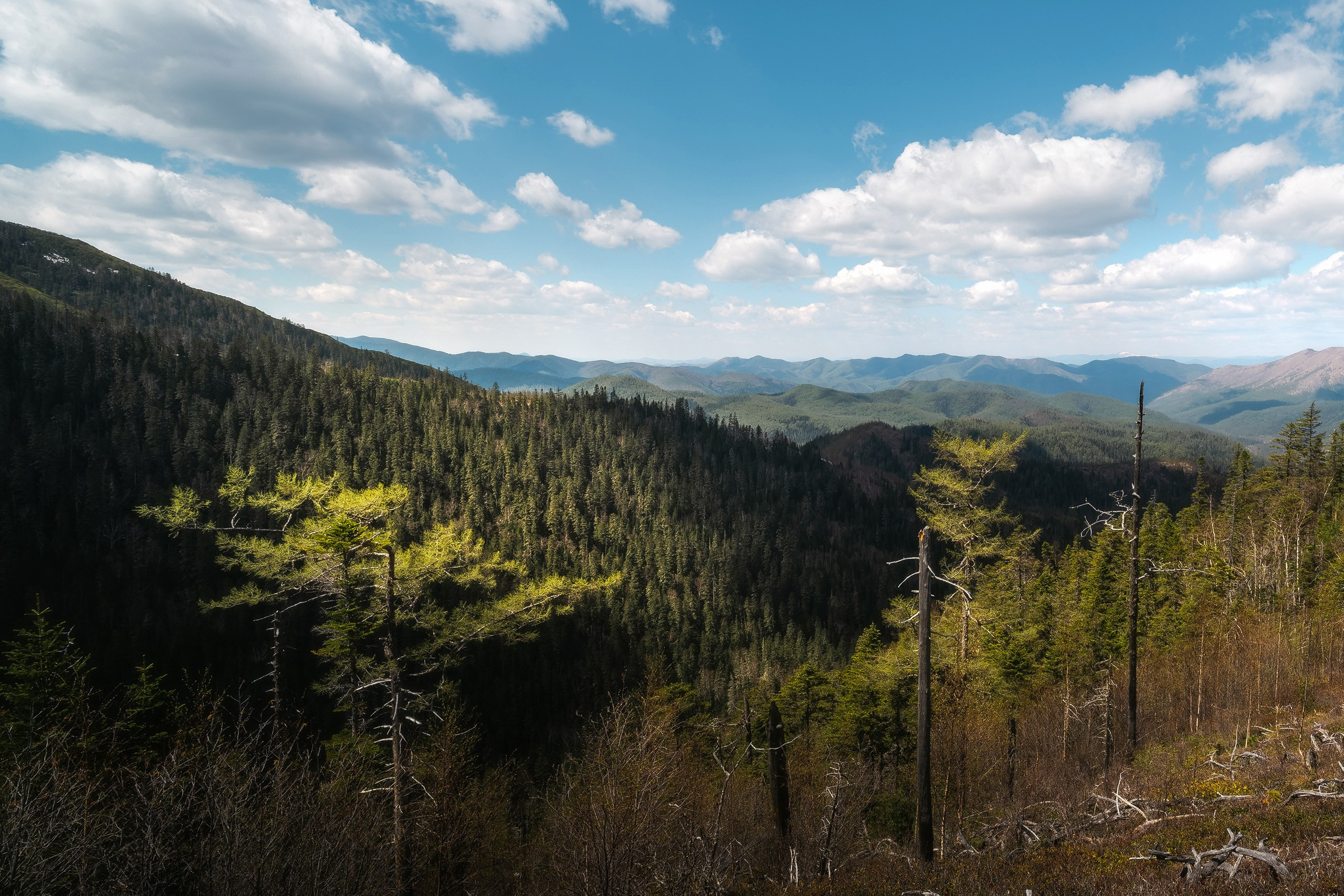 Классический пейзаж. Фотограф в Хабаровске Артём Паймуллин