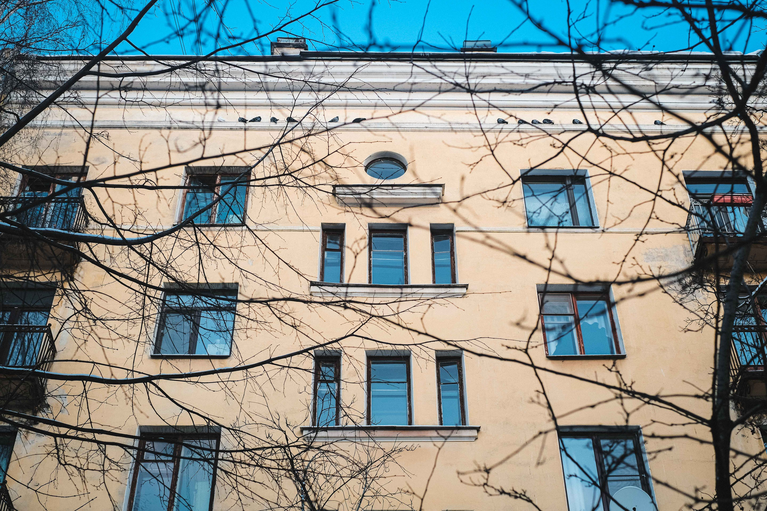 2021.12. Фотограф Алексей Алексеев