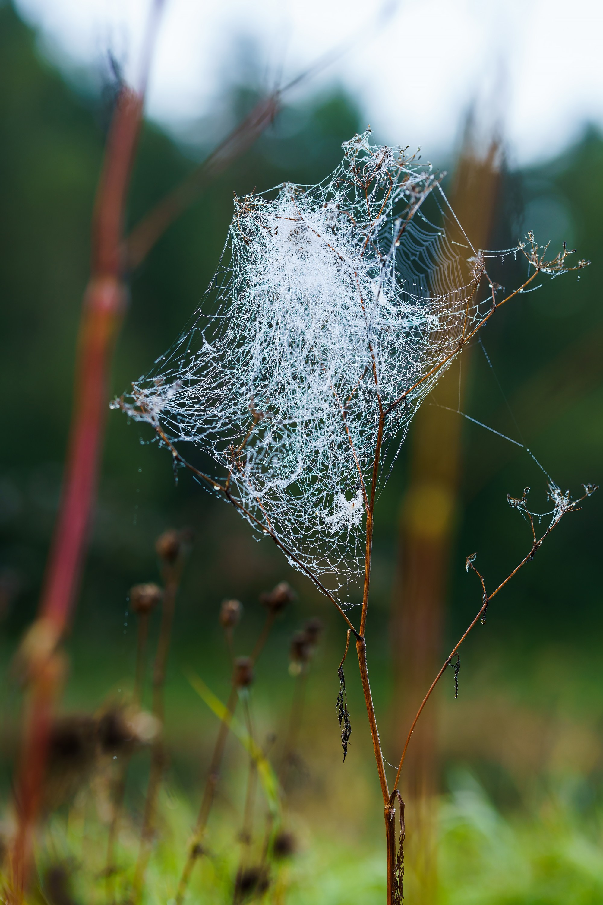 Фотографии Национальный парк Угра. Фотограф спортивные события, недвижимость, турбизнес