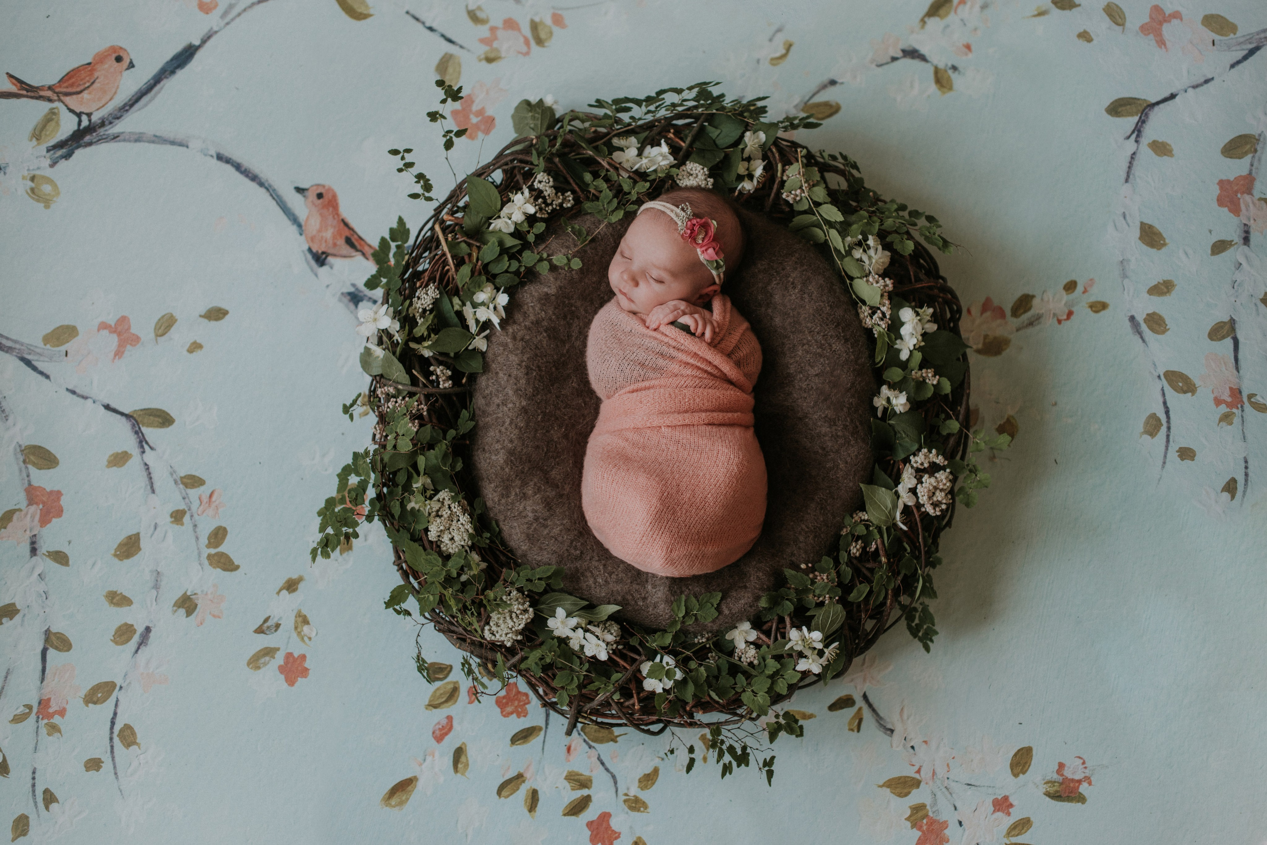 Младенцы. Семейный фотограф в Москве Полина Ситникова