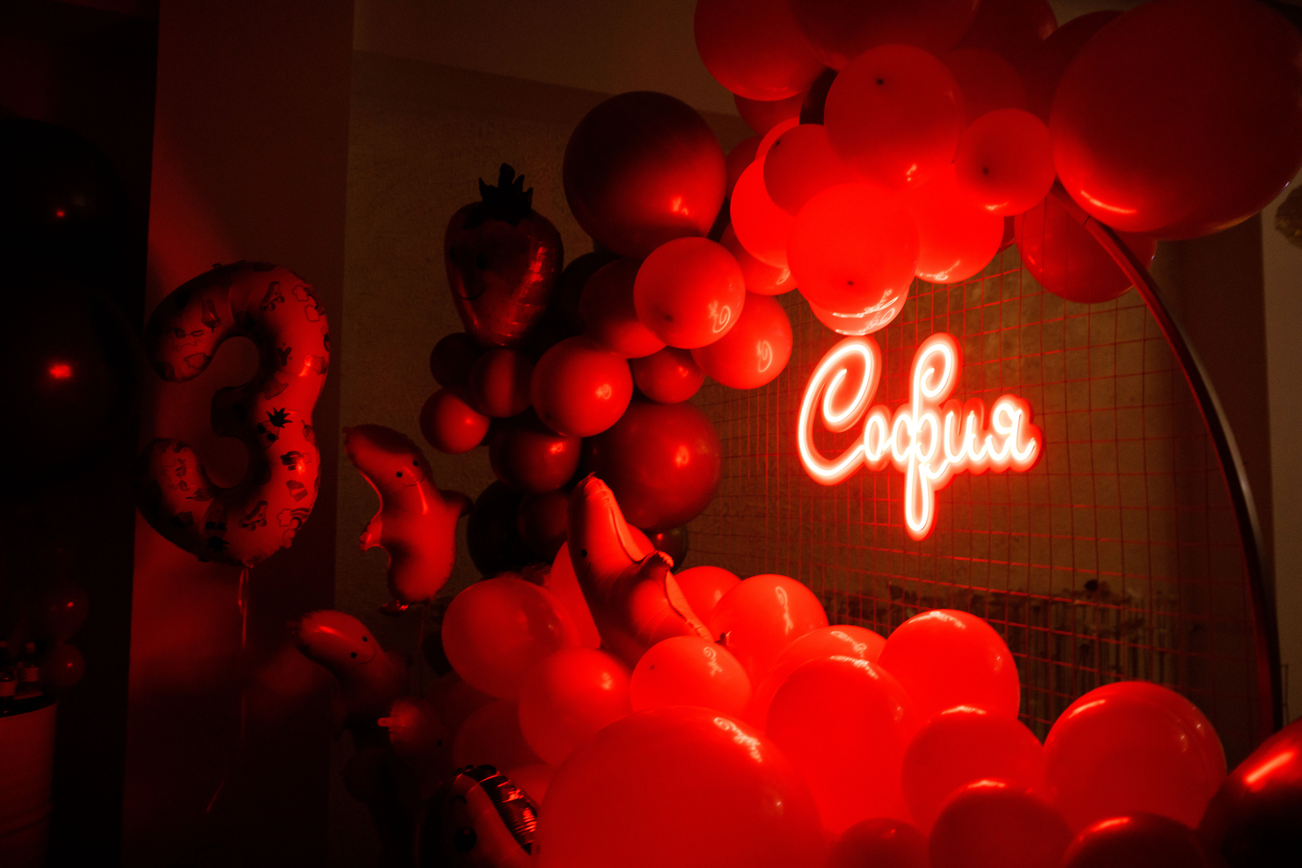 ДР Софии. 3 года. Плюс белое. Фотограф Андрей Баксов