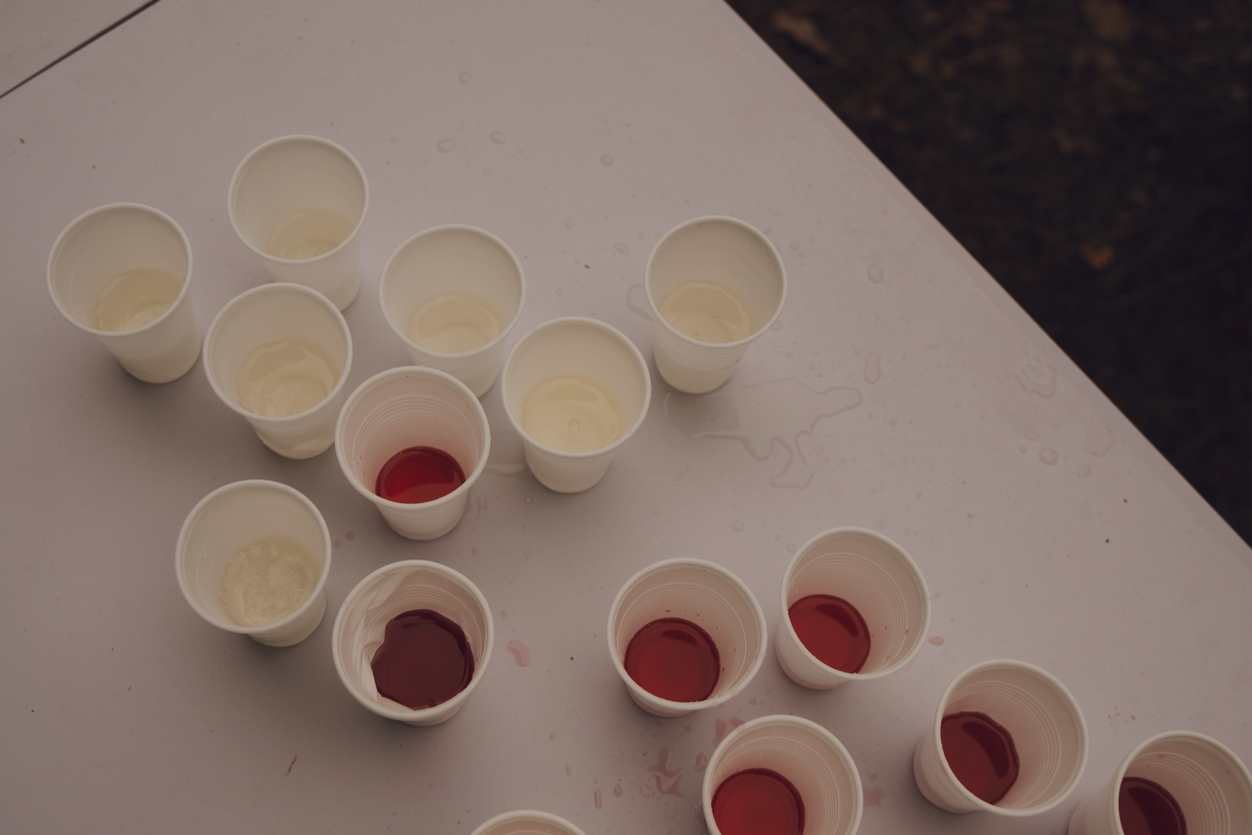 Палаточный форум CAMPot 2025. Фотограф Надежда Погребняк | Рязань | Москва