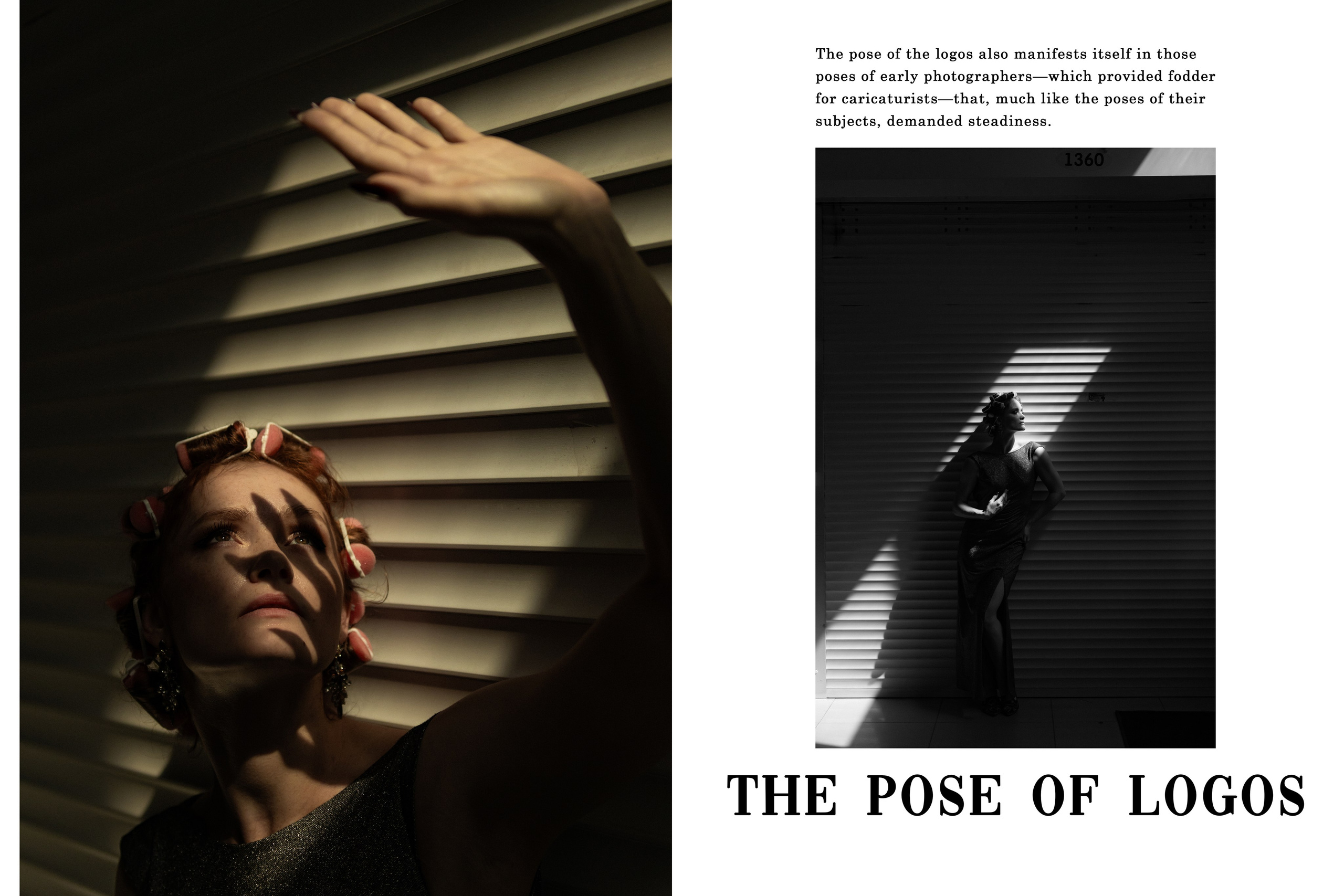 THE POSE OF LOGOS. BibikIvan