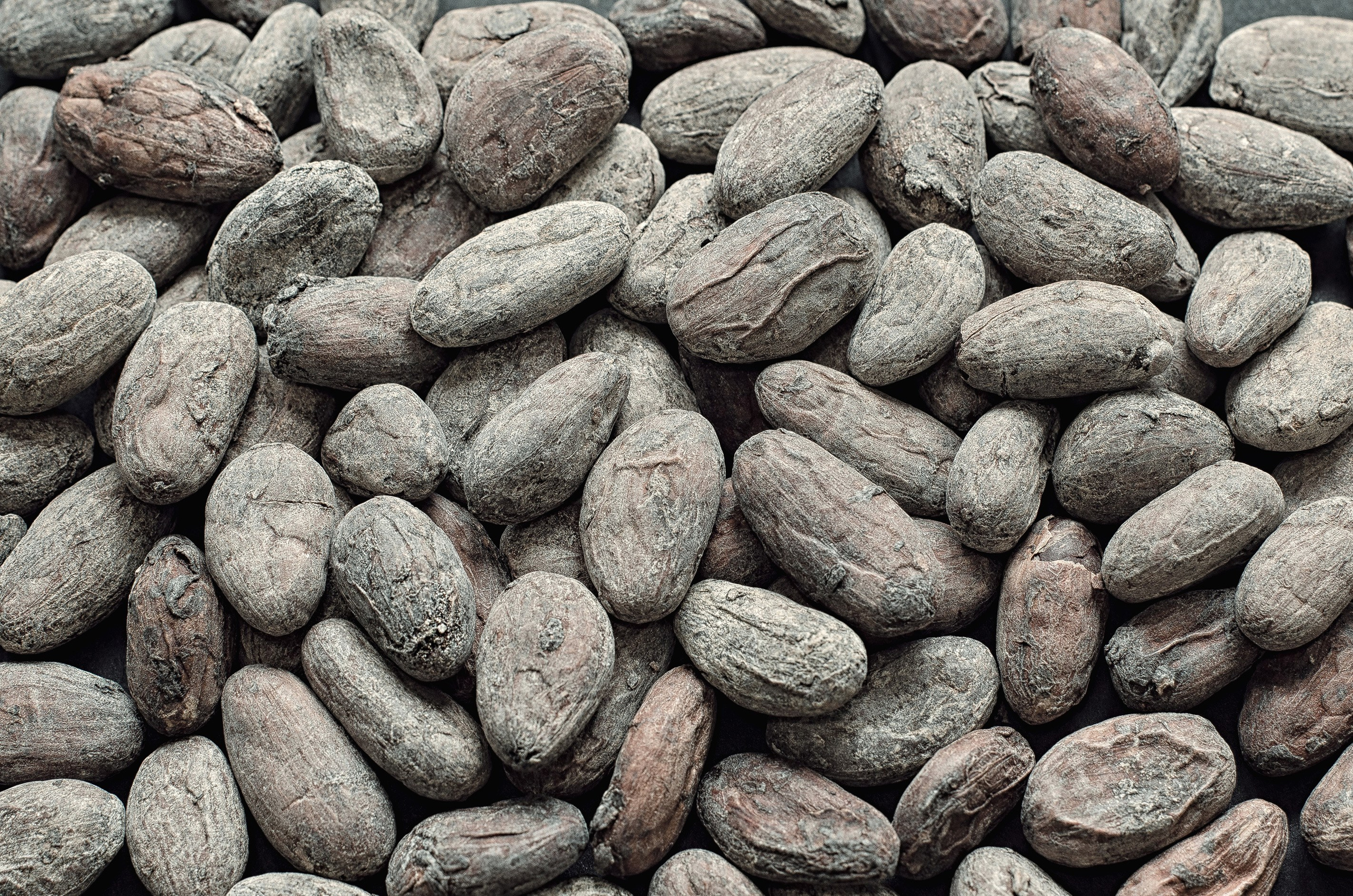 Для шоколатье и кондитеров. Шокополия