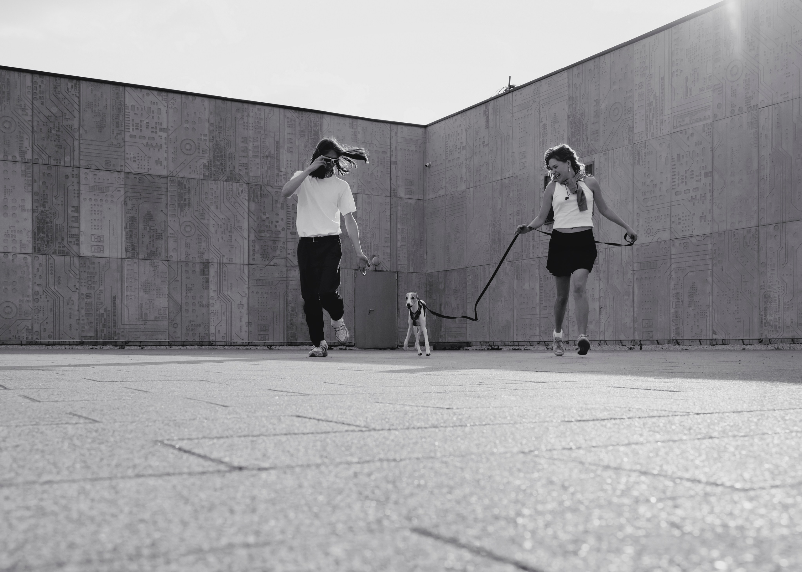 Ветка. Фотограф- анималист Александра Матвеева