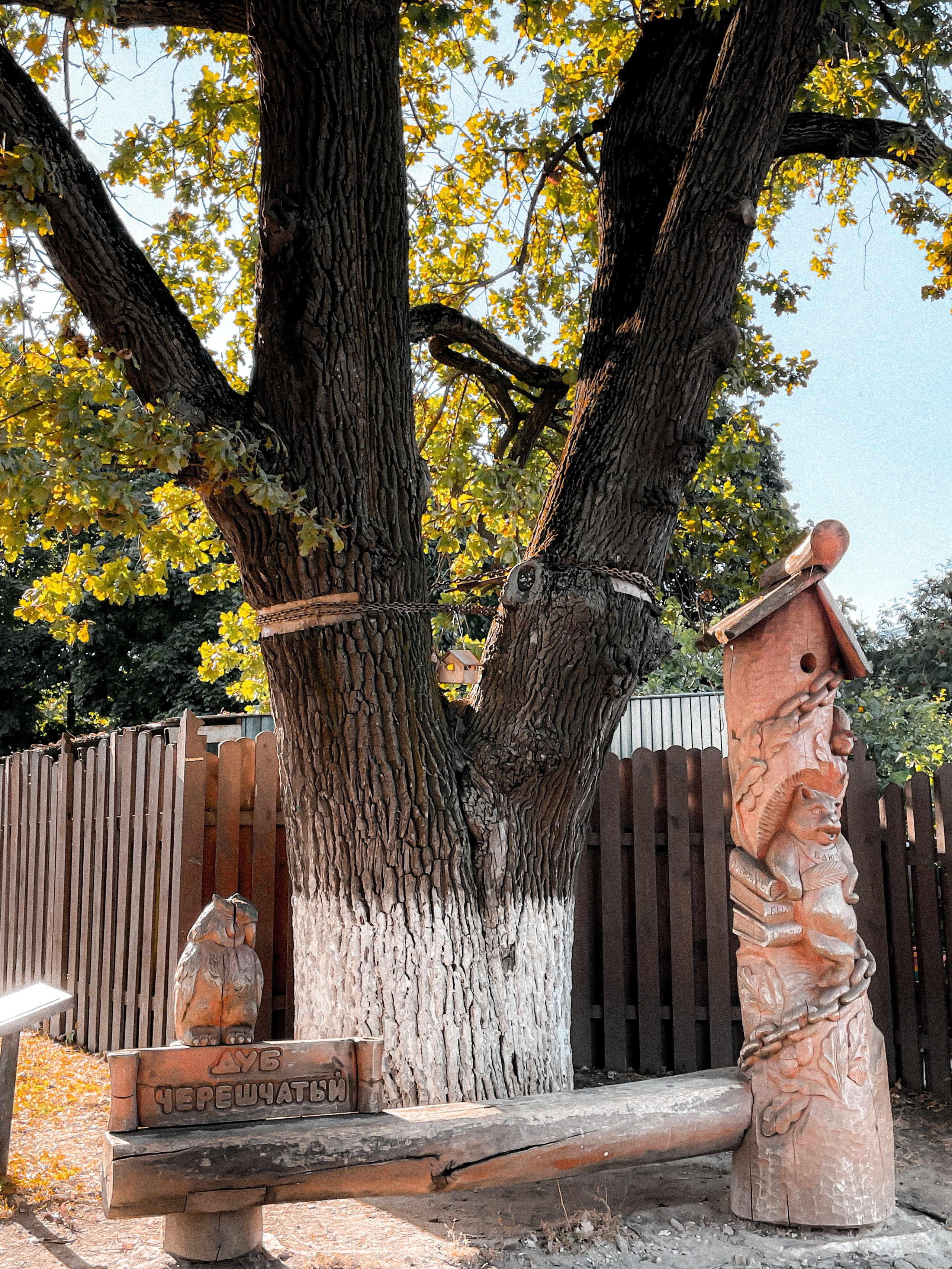 Город Владимир 2024. Фотограф Илья Варакин