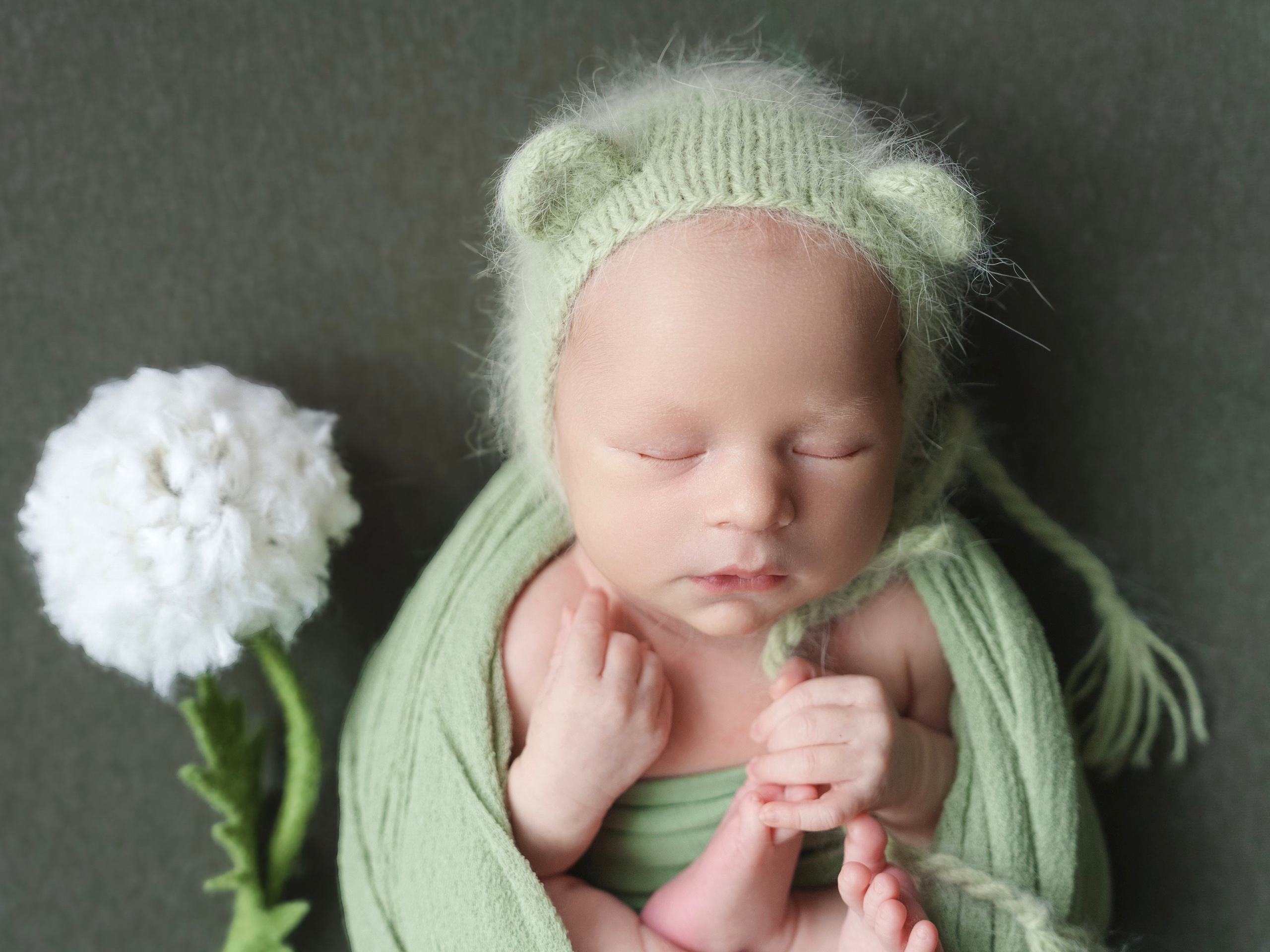 ✨. Профессиональный фотограф новорожденных Тверь