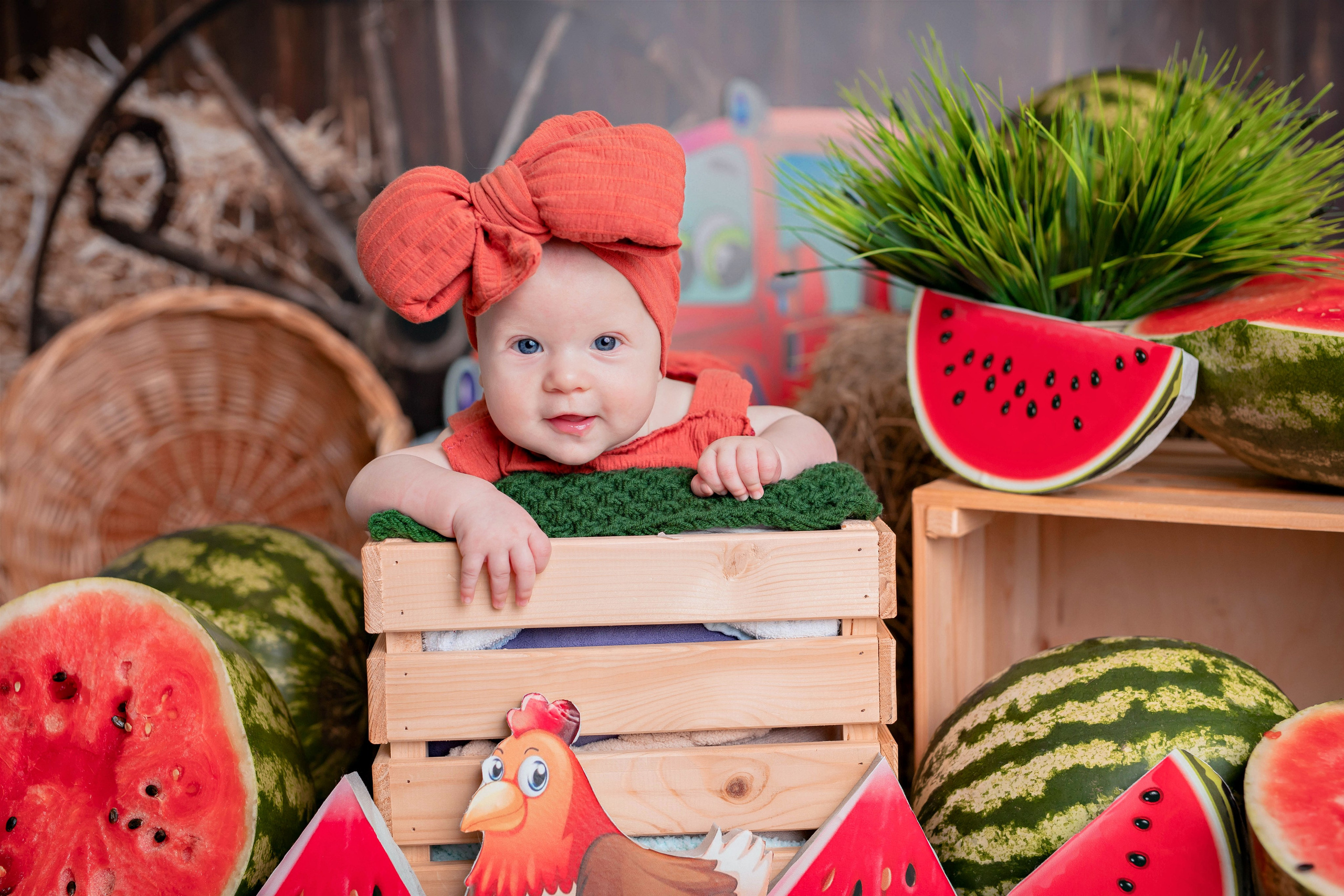 Арбузы. Фотограф Болотова Иветта