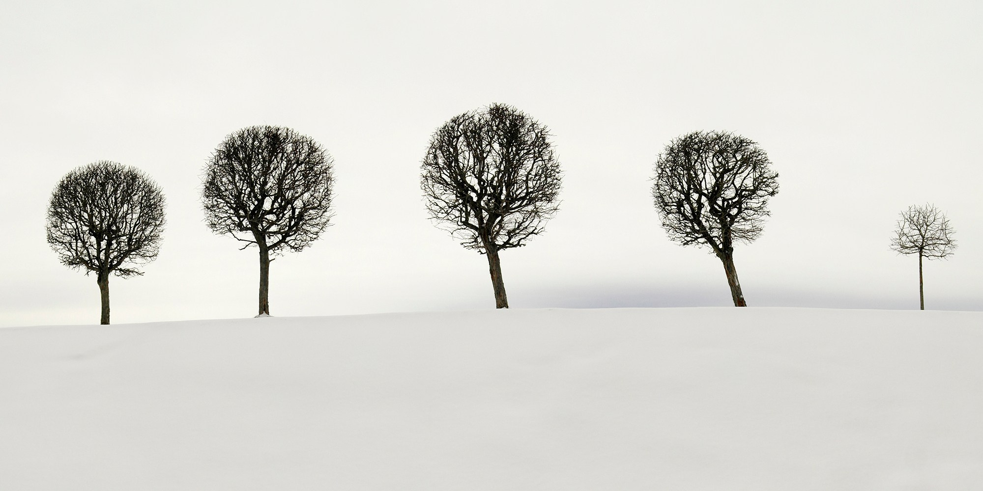 Peterhof. Vasiliy Riabovol — Fine Art Photographer | Time, Space, and Silence