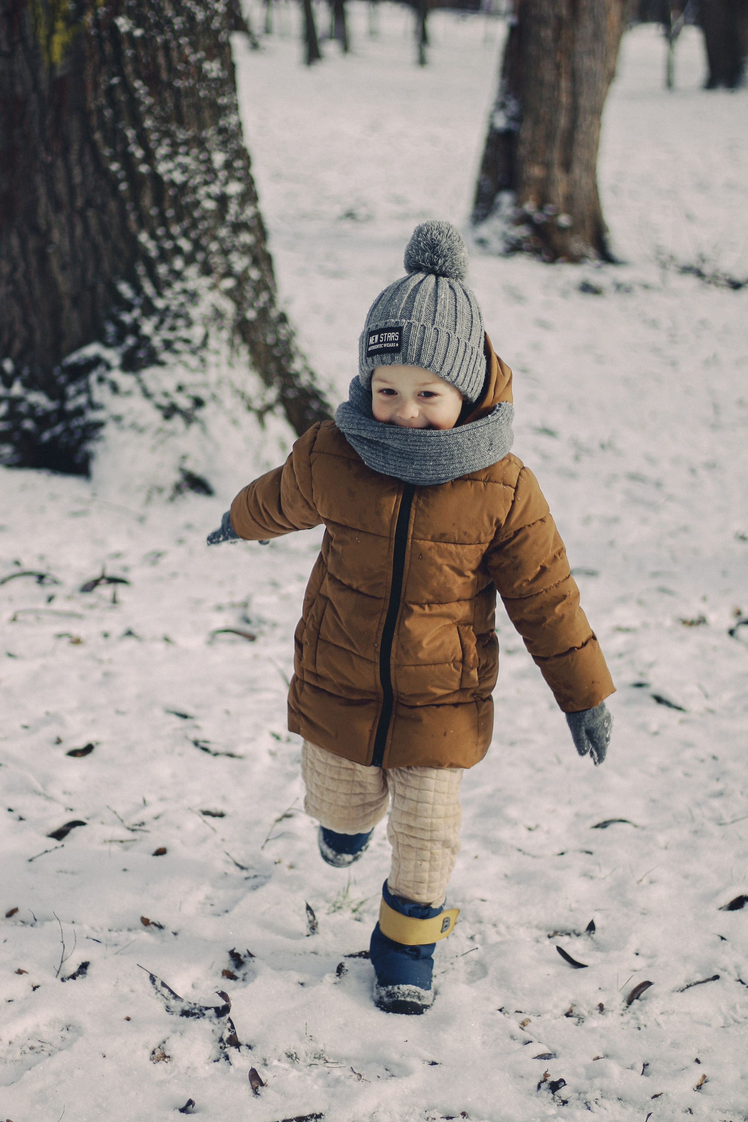 Зимний Краснодар. Фотограф Краснодар