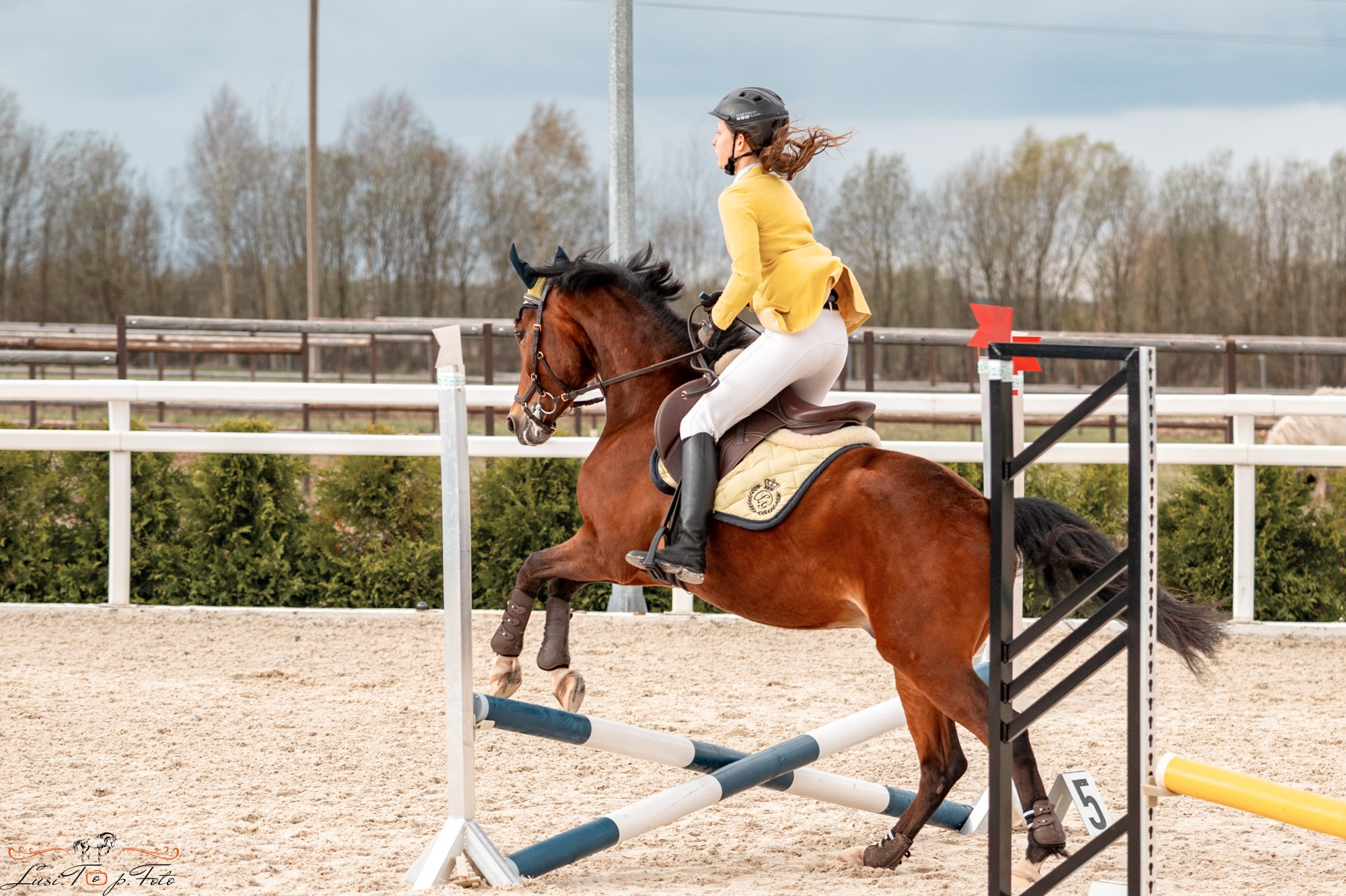 Весенний кубок по конкуру в КК Equipark. Конный и фотограф с животными в Твери Топталова Люся