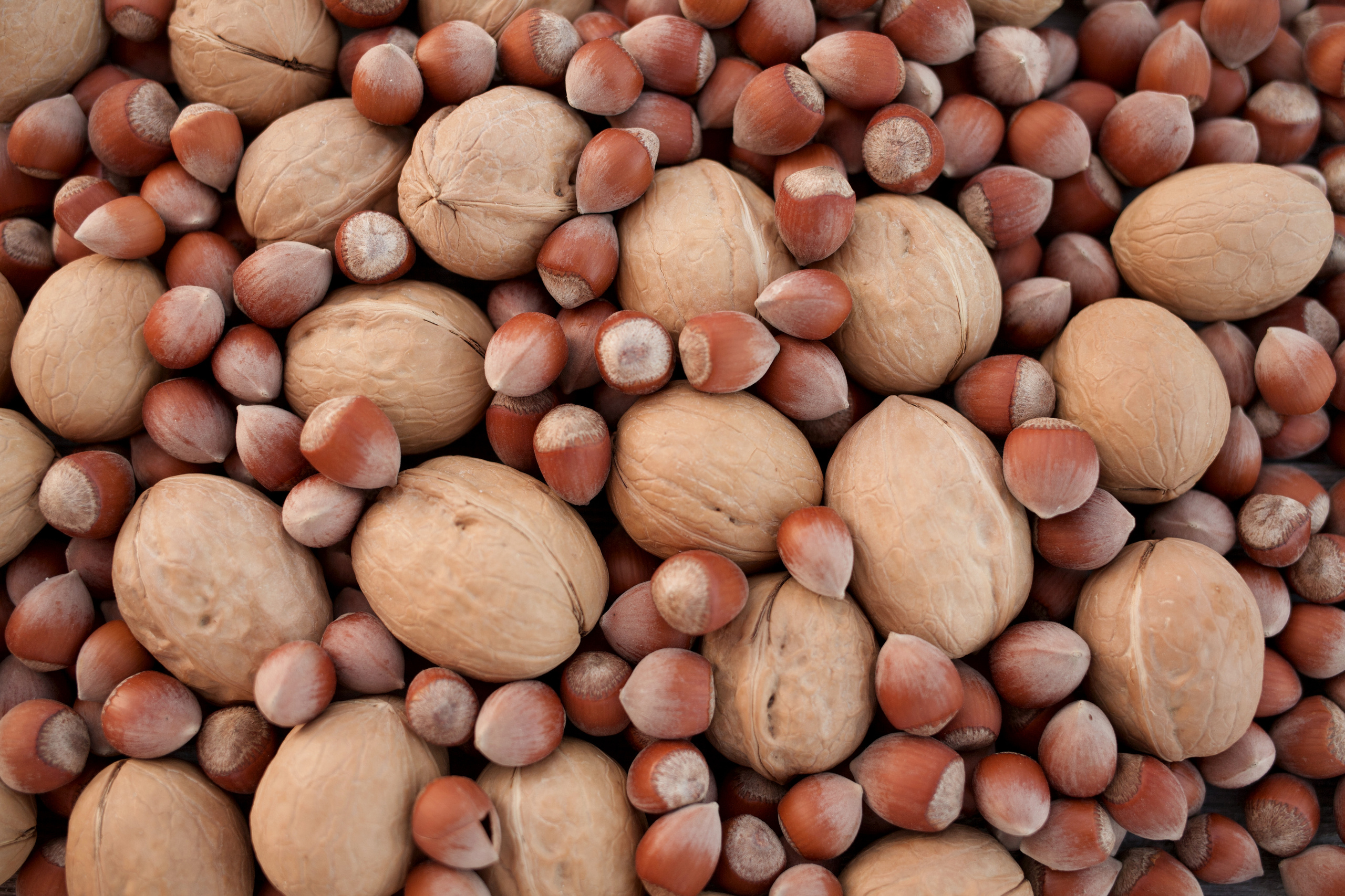 Предметная фотосъемка, съемка для маркетплейсов. Семейный и детский фотограф в Волгограде Нина Колесова