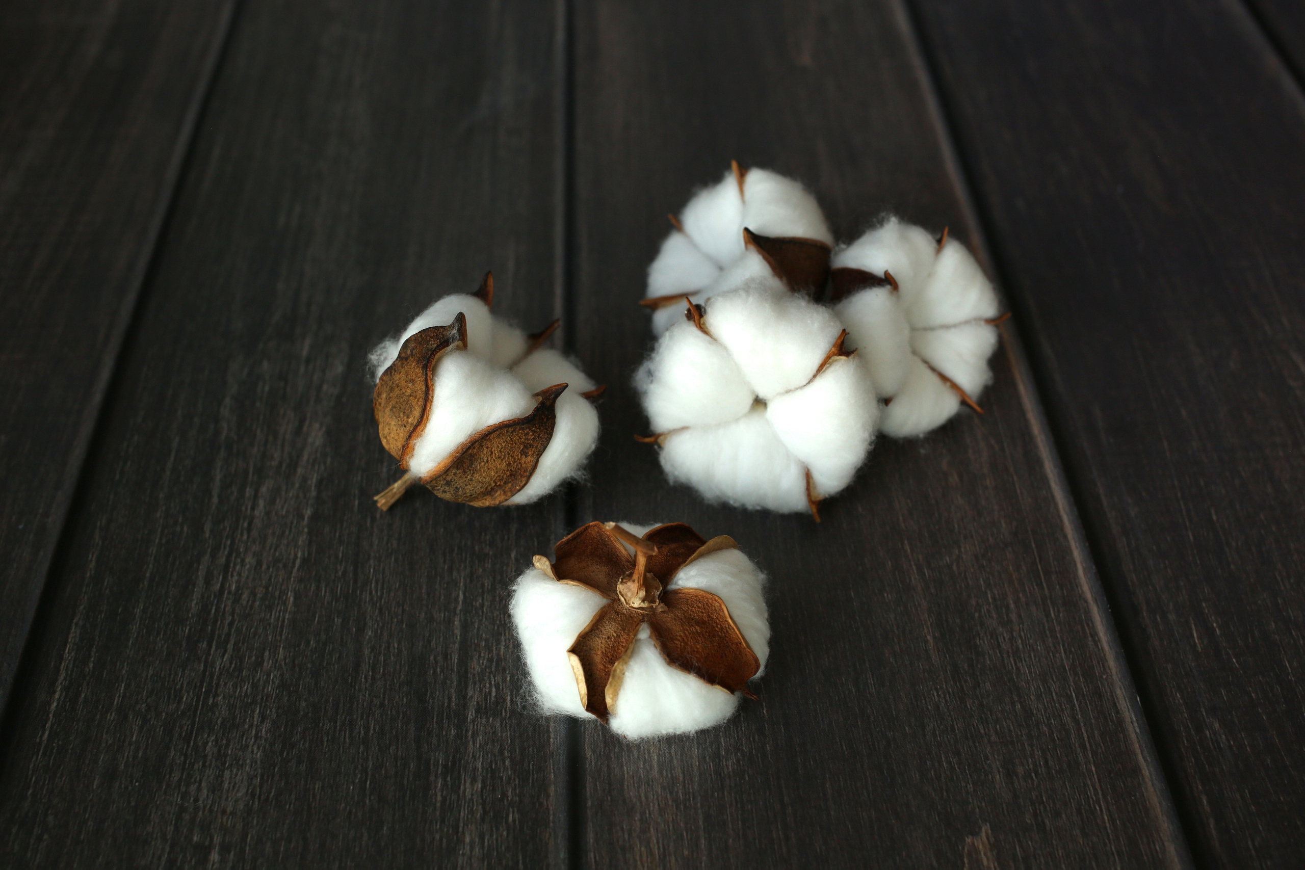 Предметная фотосъемка, съемка для маркетплейсов. Семейный и детский фотограф в Волгограде Нина Колесова