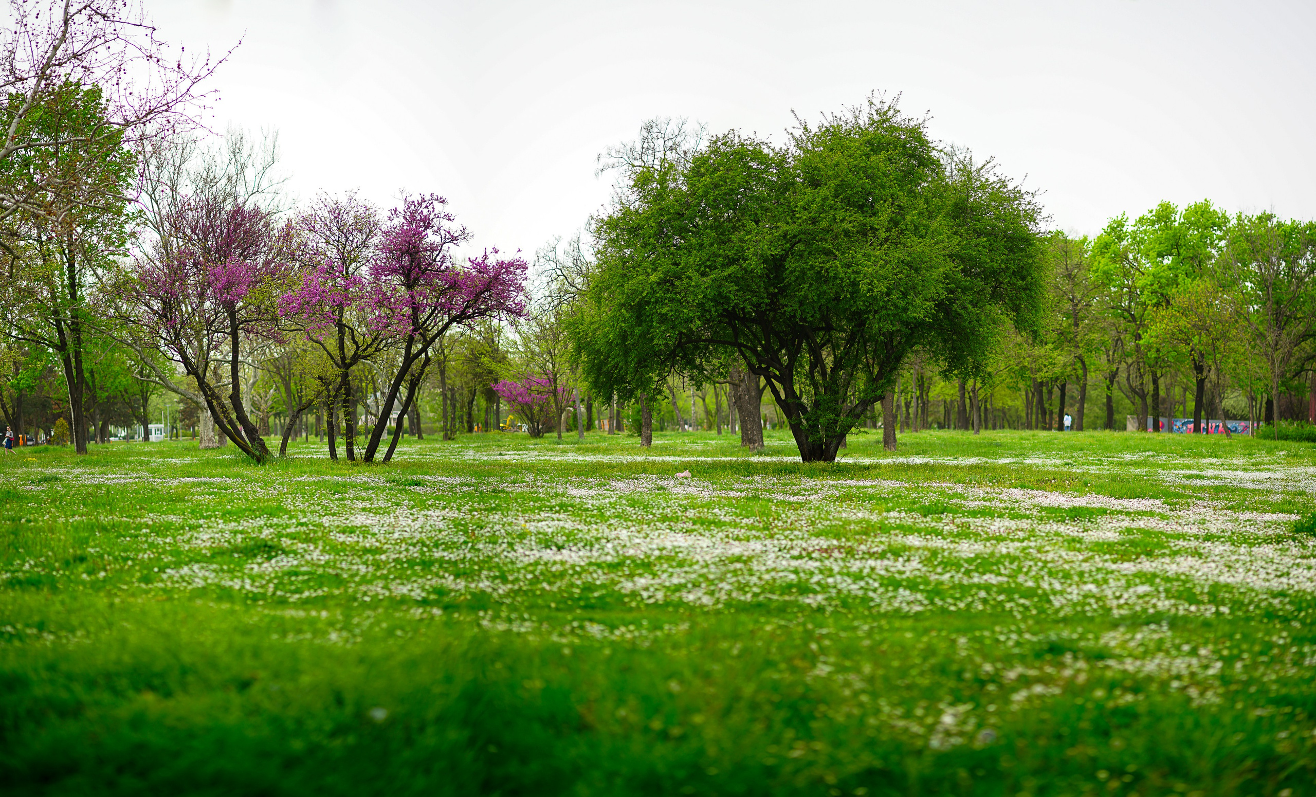 Landscapes. Oleg Kozachok — Photographer with Protanopia | Portraits, Texture & Light