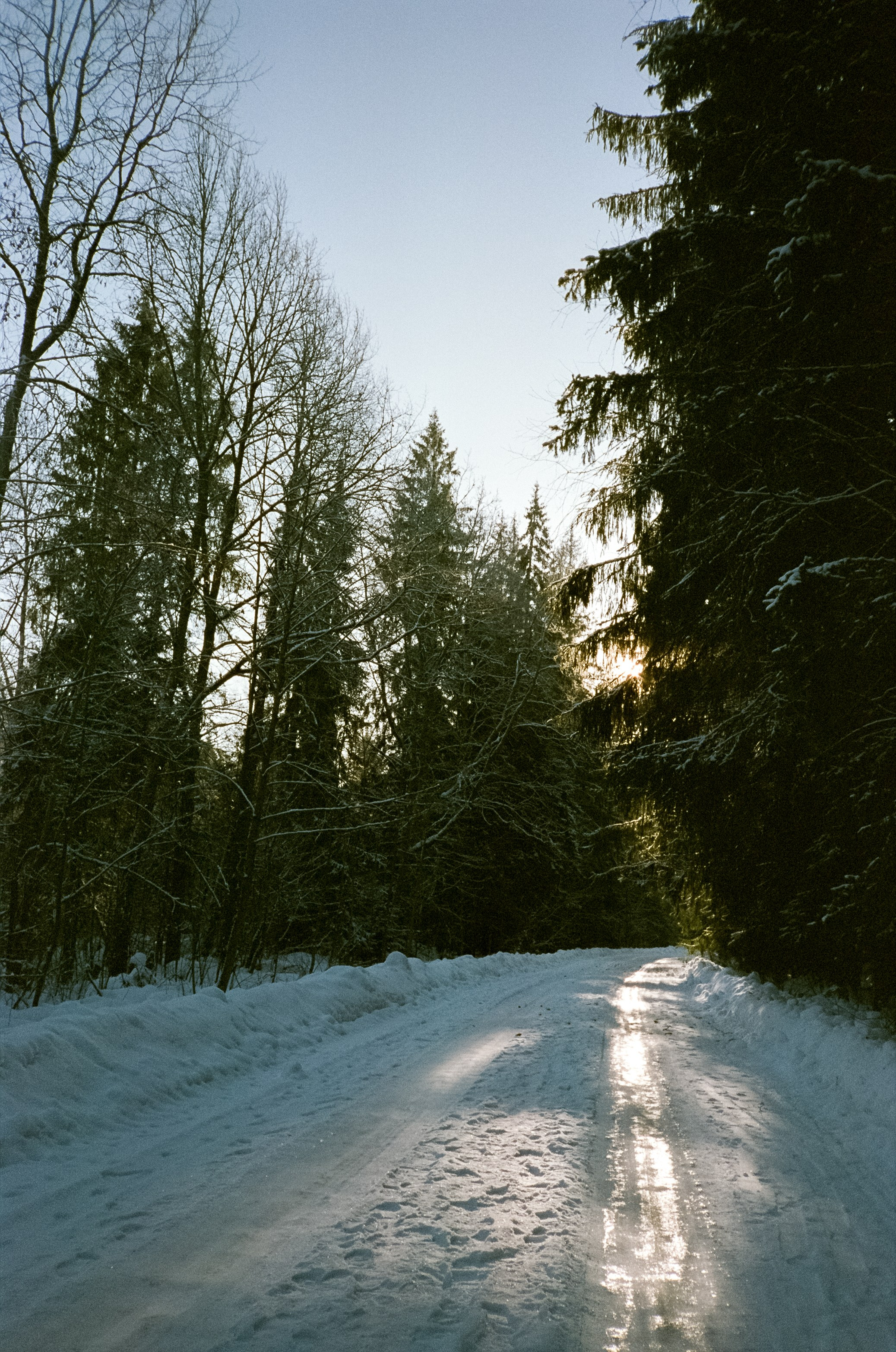 Chinon Auto 3001 (2) / Fuji Eterna 250D (ISO 100) / Давыдовское, Лукин