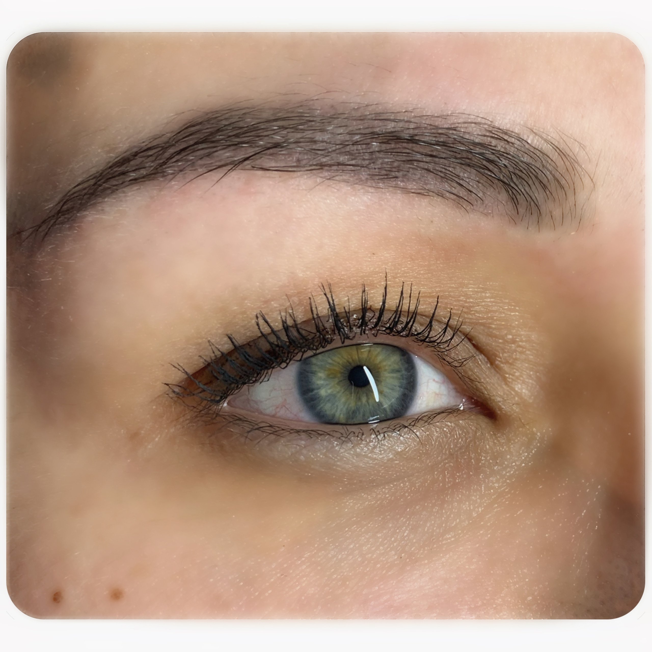 Уход за ресницами. Бровист и Визажист