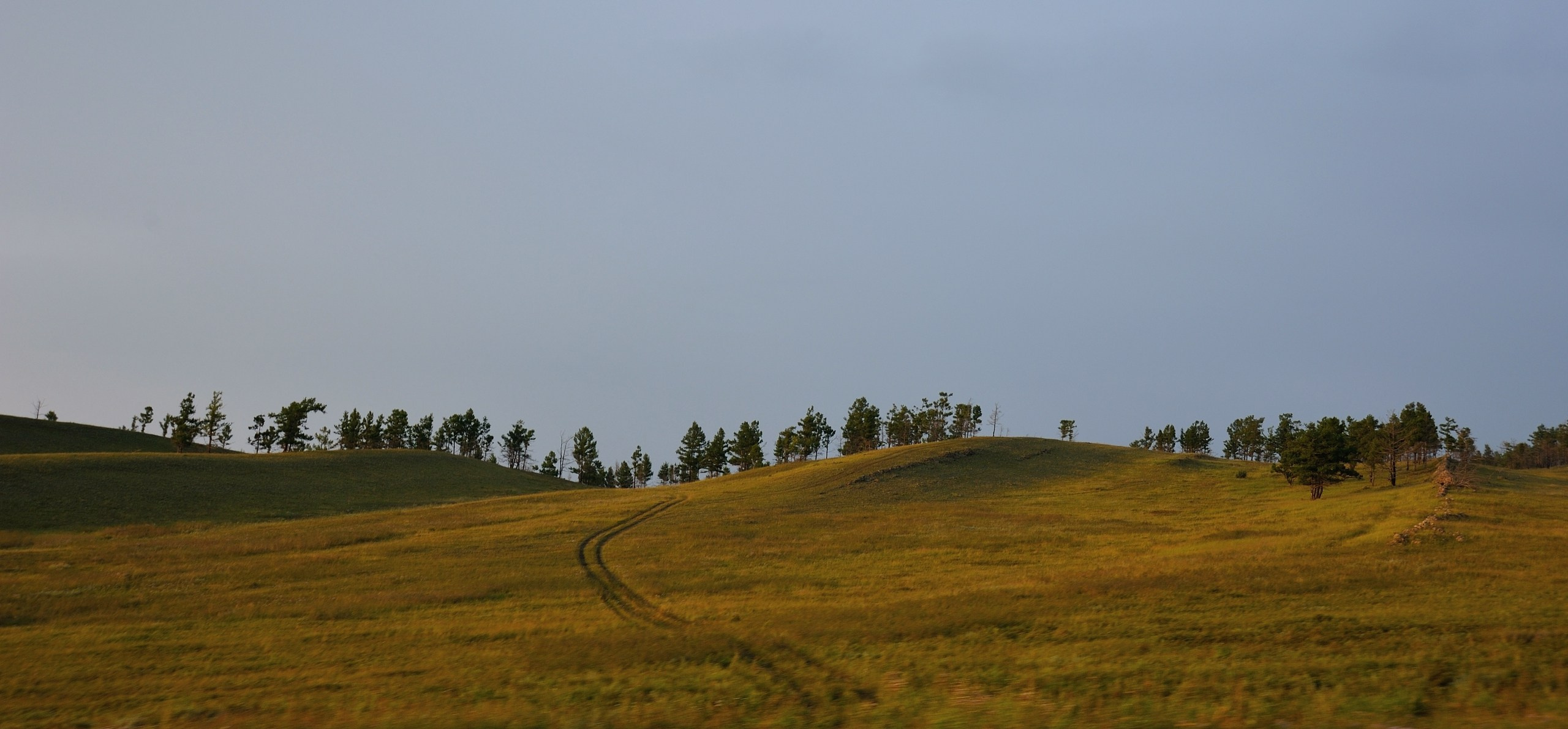 Хакасия цвет. Катерина Михеева