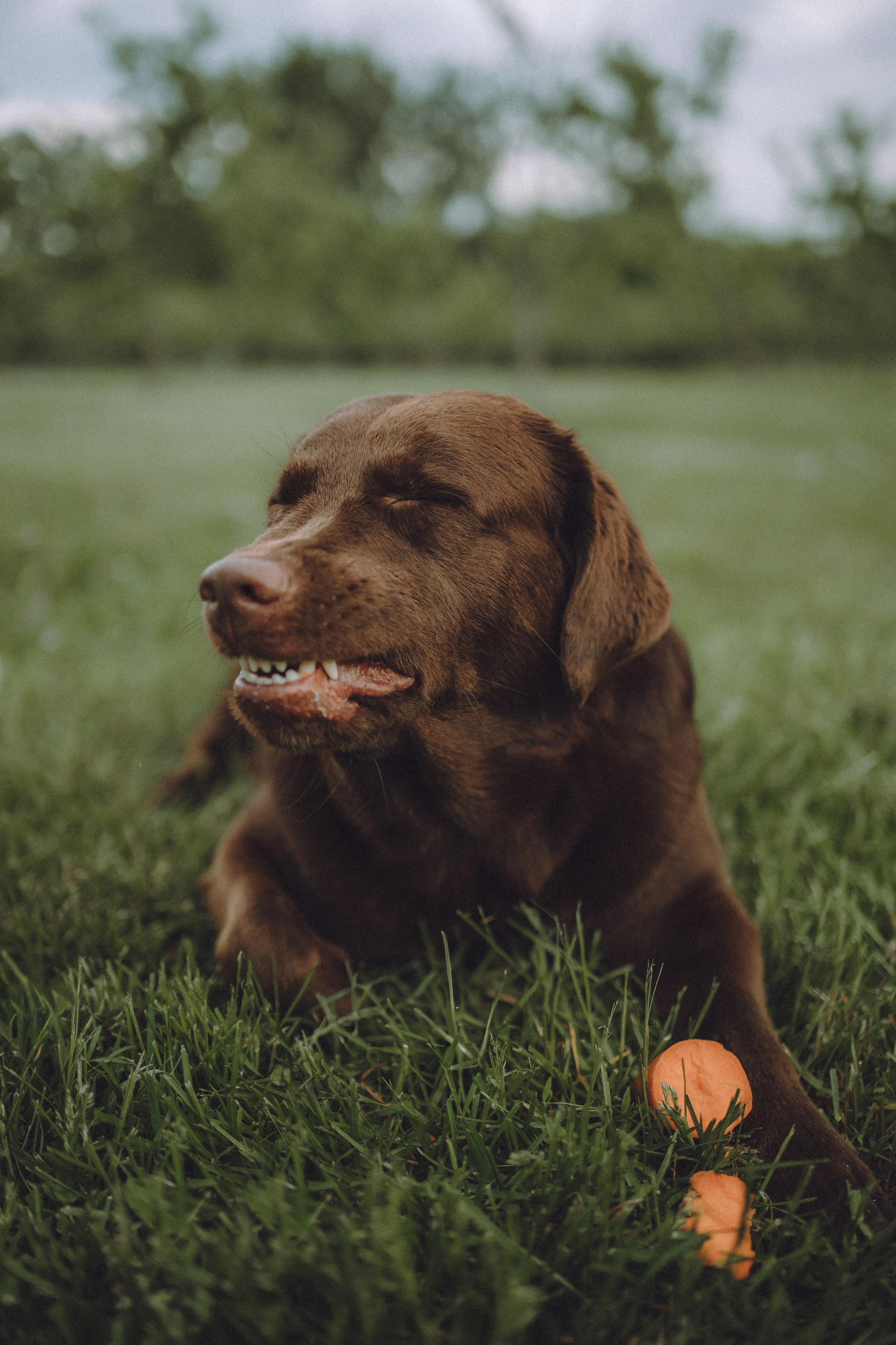 Катя, Ваня и Джеси