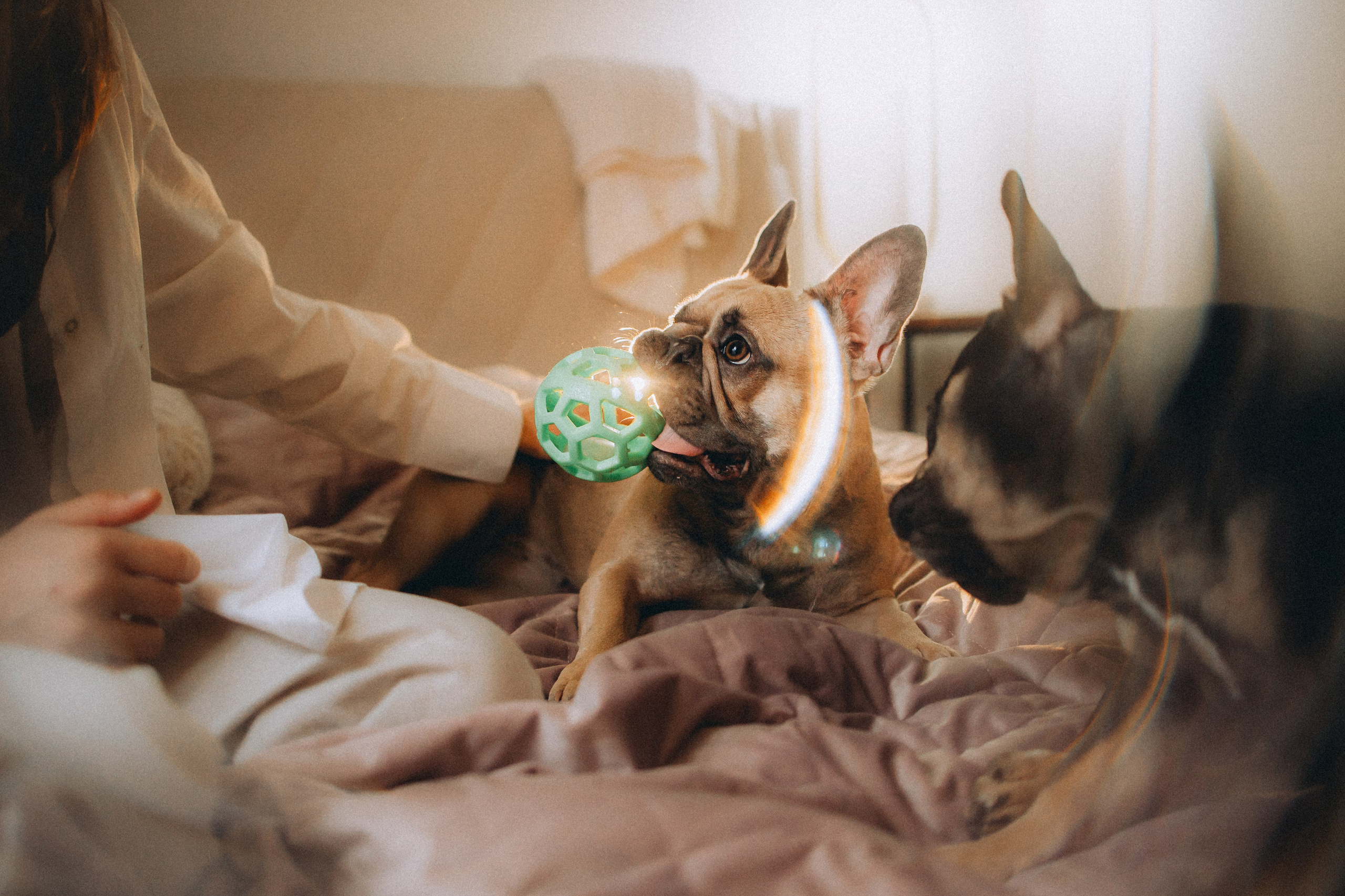 Юля, Мия и Зек