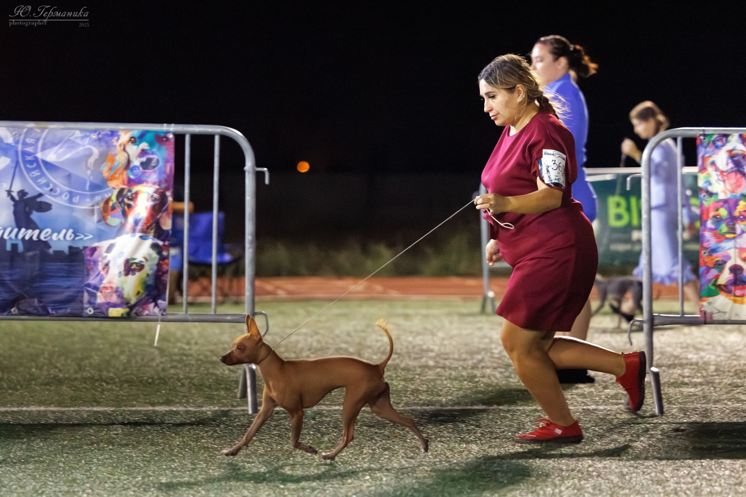 Калининград 25-27.07 Волгоград 1-3.08 2025. Фотограф-анималист Юлия Германика