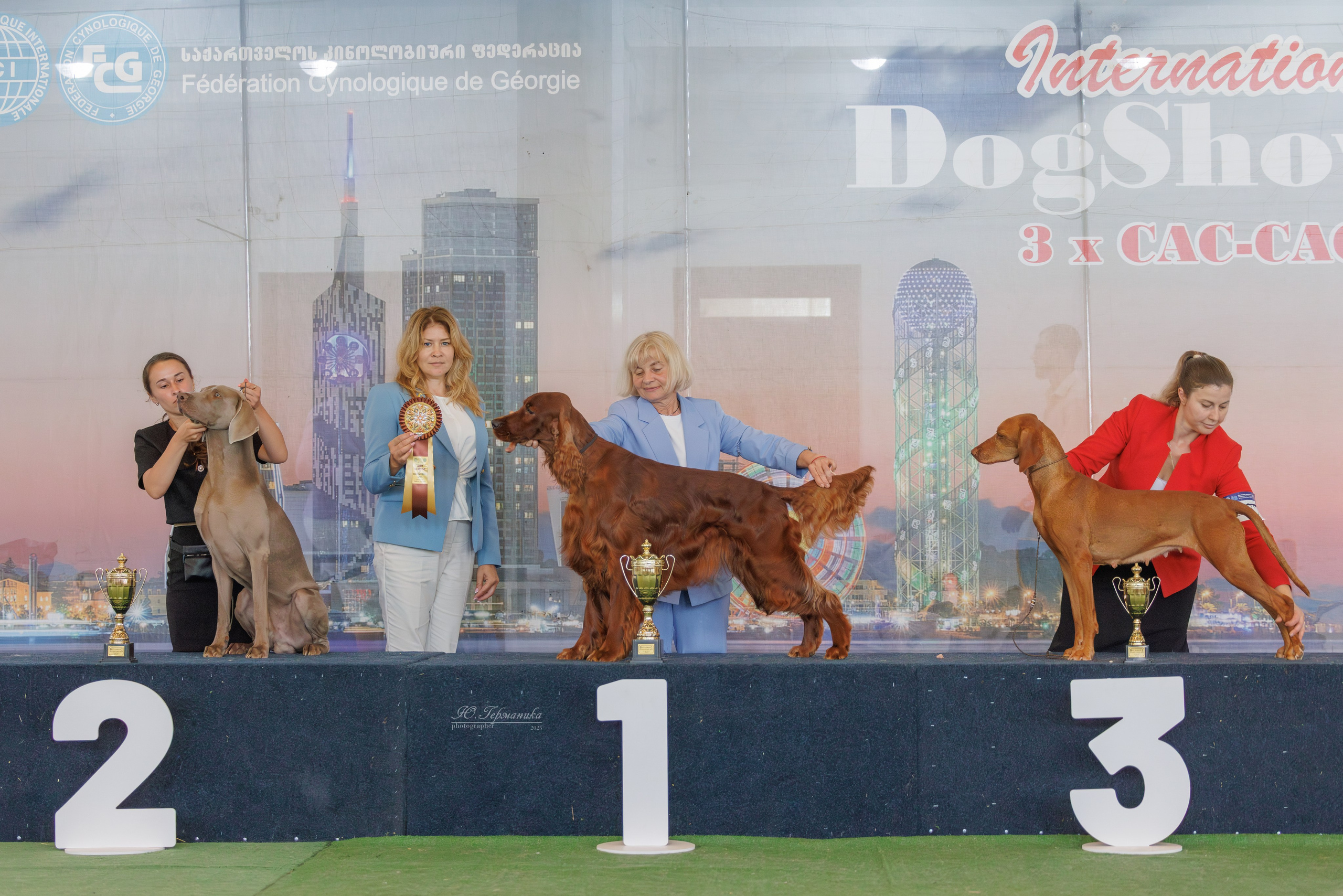 Батуми 3хCACIB 27-29.06.2025. Фотограф-анималист Юлия Германика