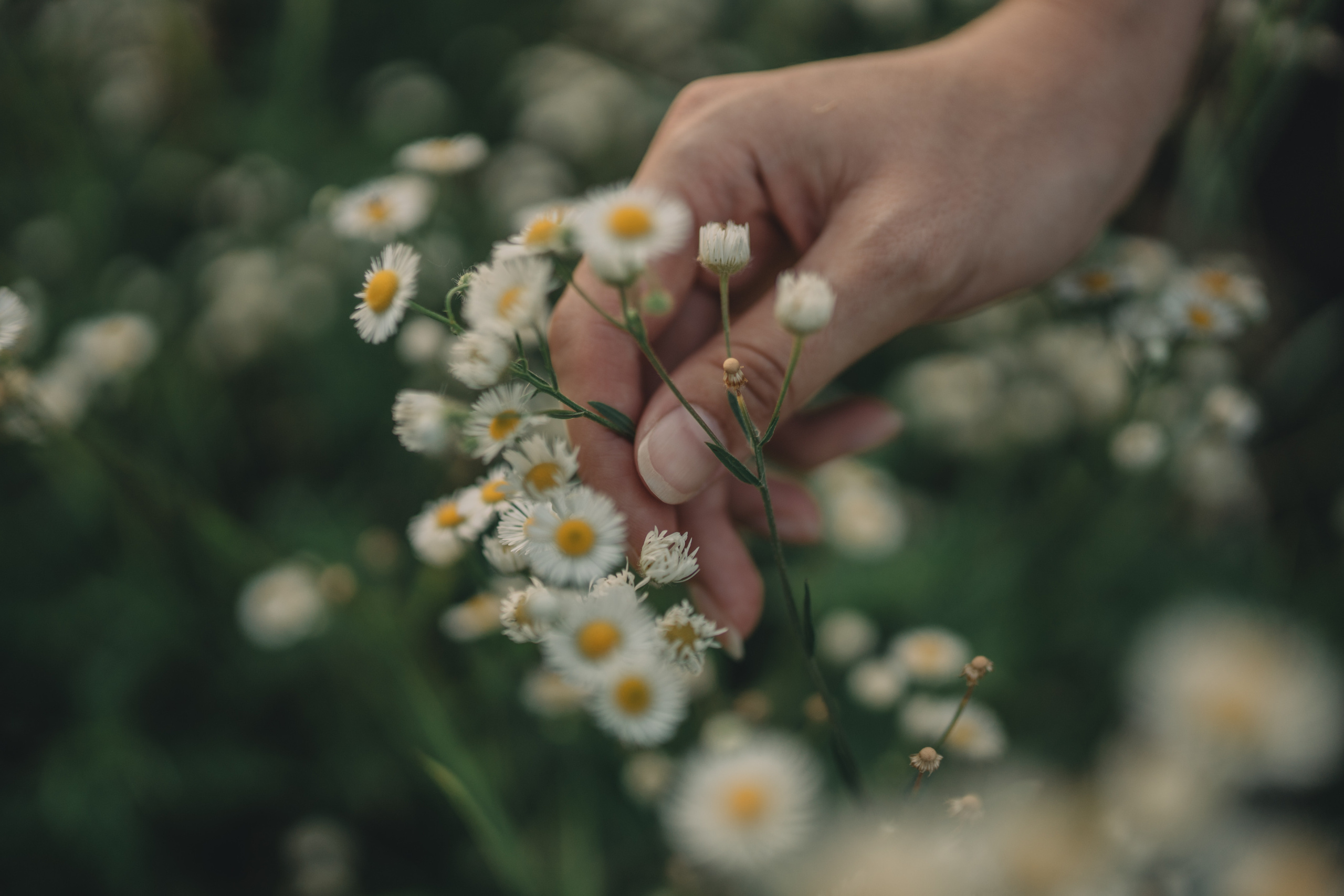 Марина. Фотограф в Батуми и Кобулети