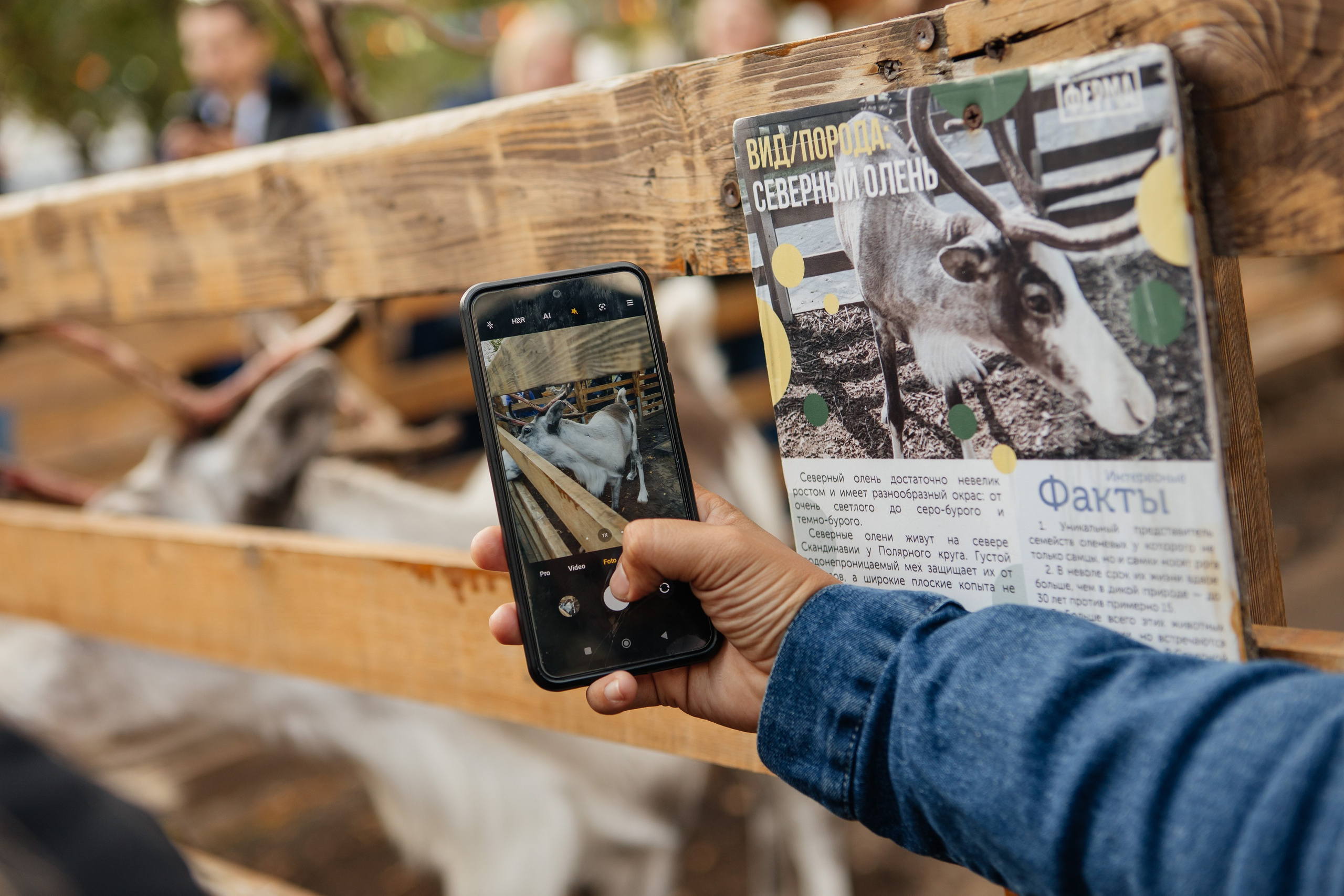 Российско-Венесуэльский молодежный форум |Москва-Спб 2023. Репортажная фотосъемка мероприятий в Москве — Five Media