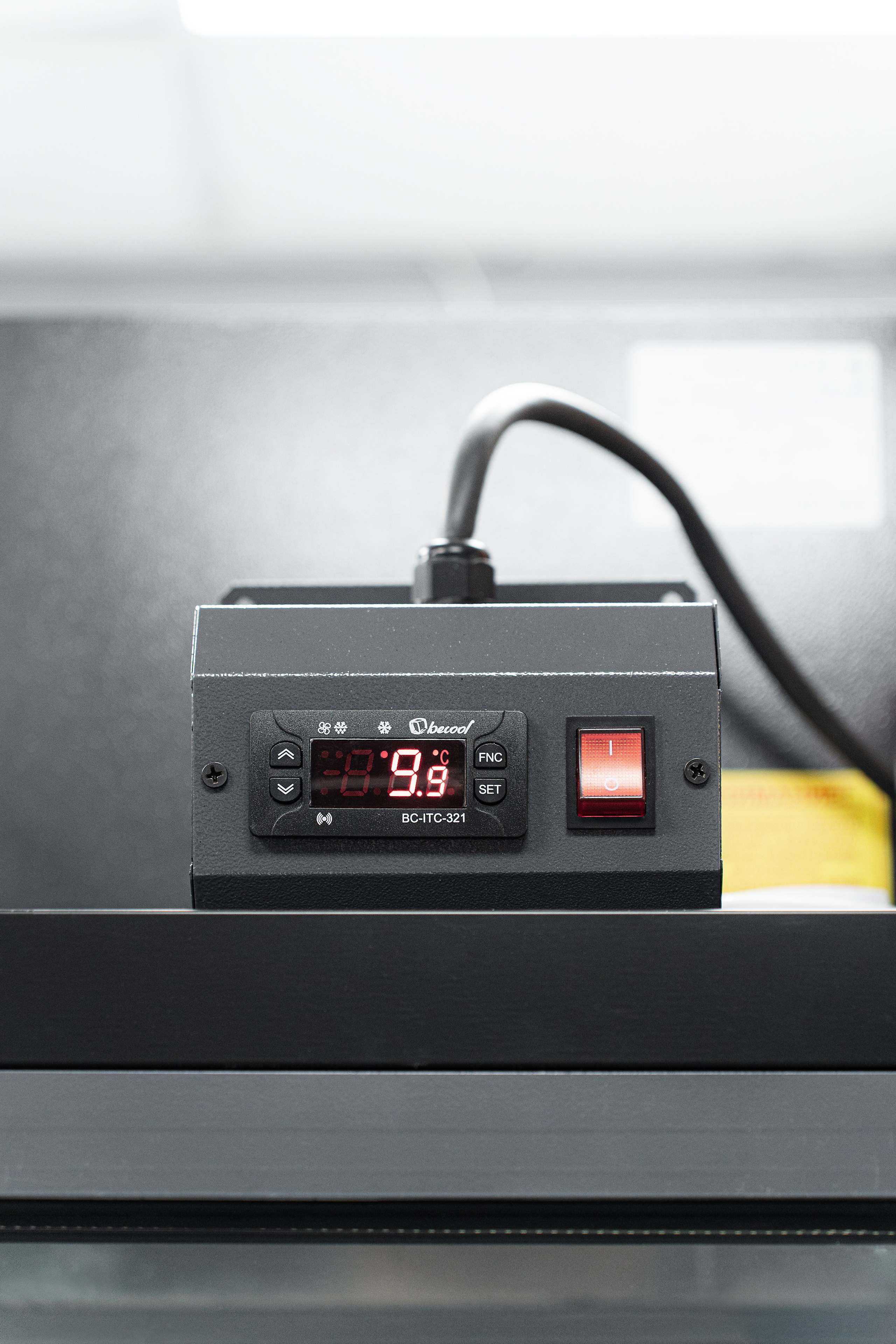 Регион холод. Елена Пашкевич, фотограф, Москва