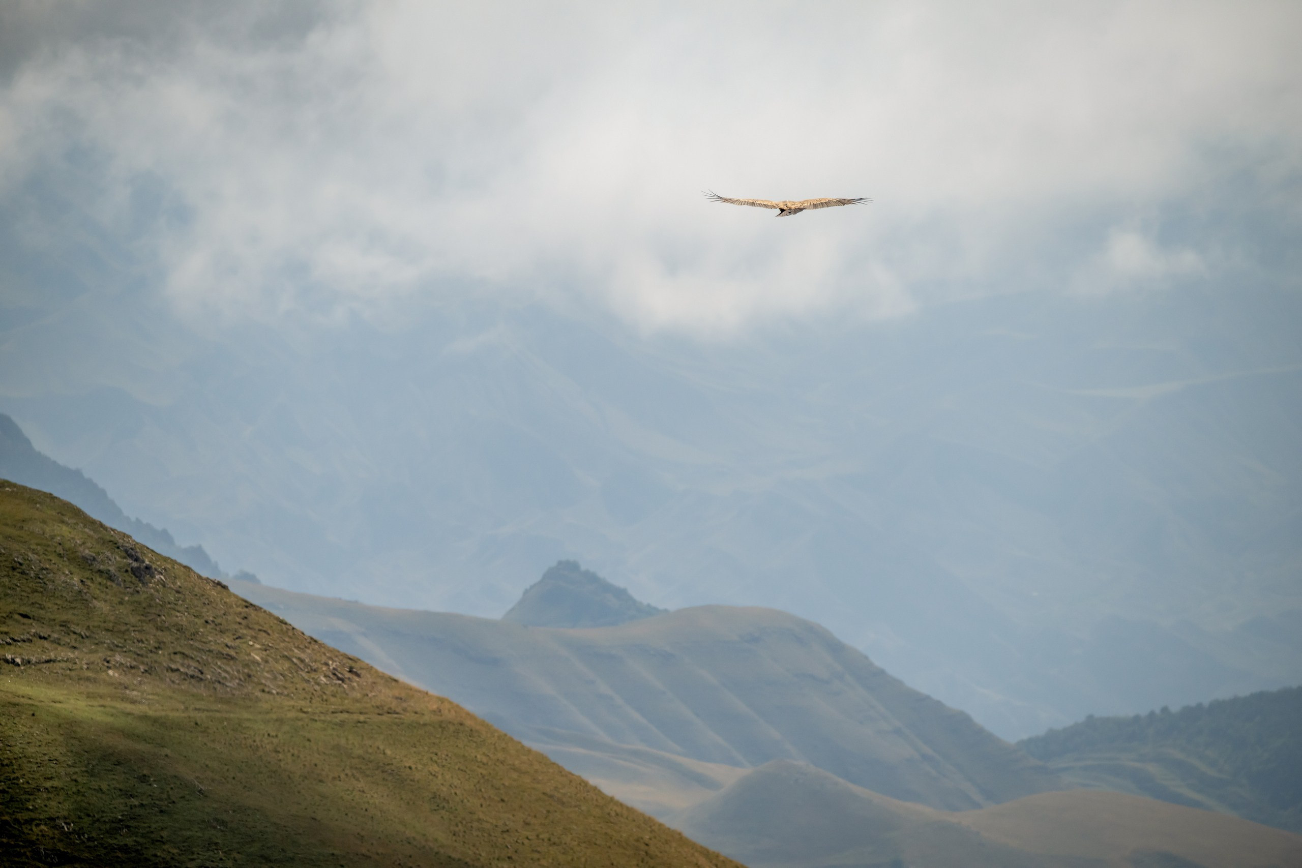 Природа Дагестана, сентябрь 2024. Foto-Zuev фотография как искусство