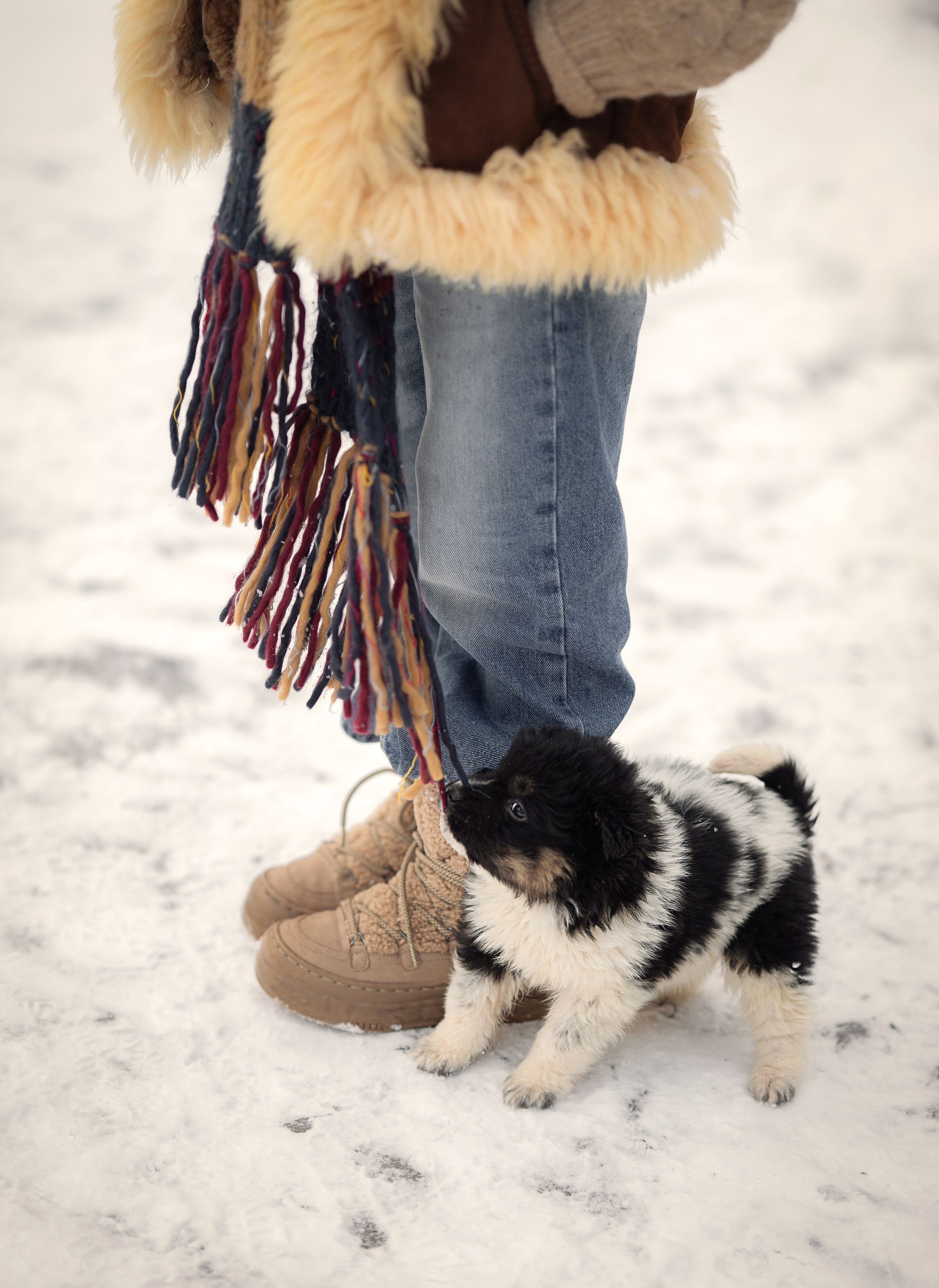 Пушистые друзья. Детский и семейный фотограф