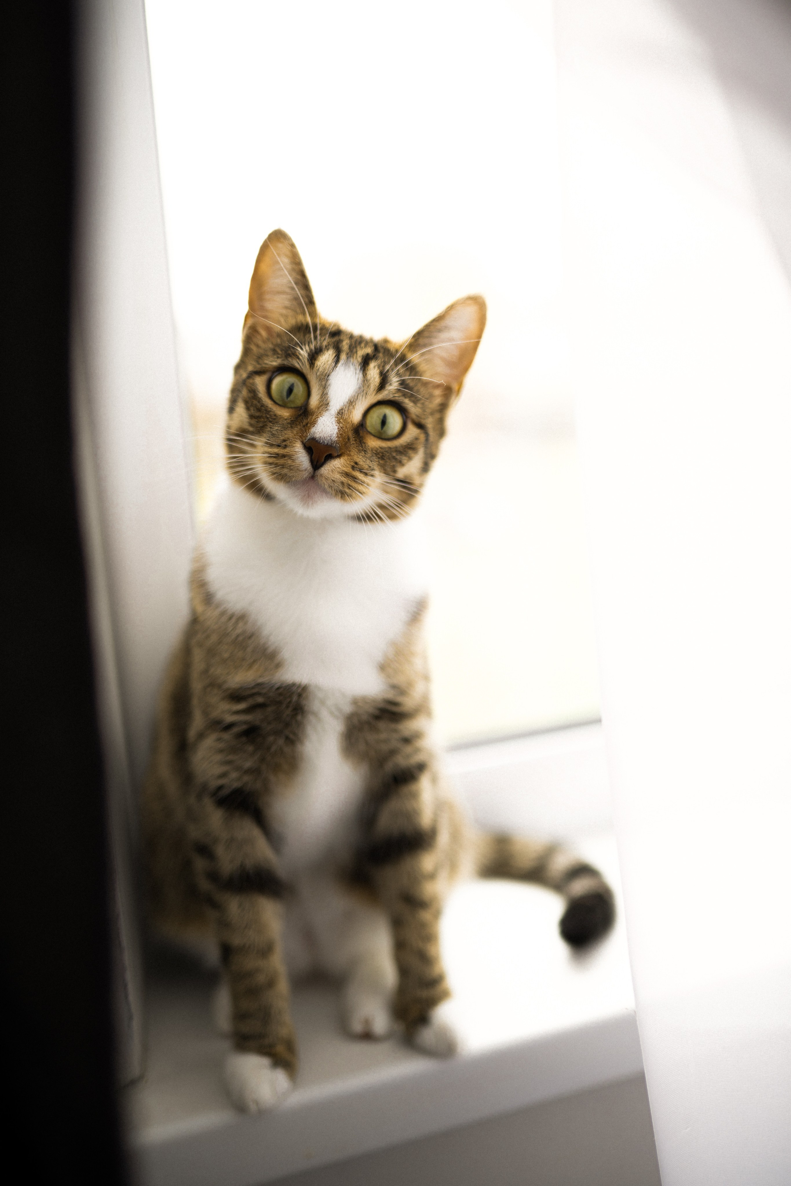 Домашняя съемка в Суздале. Семейный фотограф в Суздале Елена Кузнецова